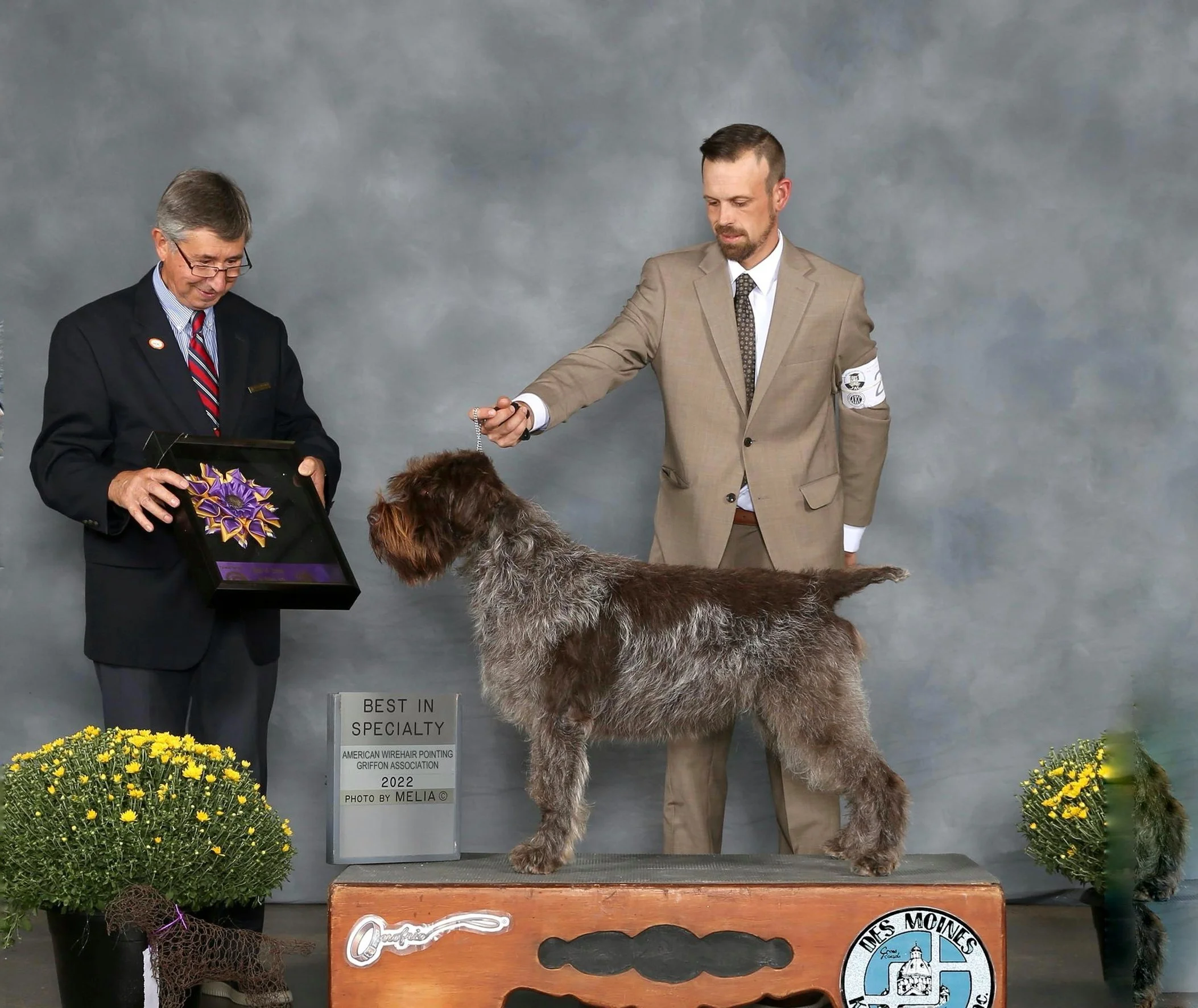 JPEG image-4413-98B2-16-0.jpg