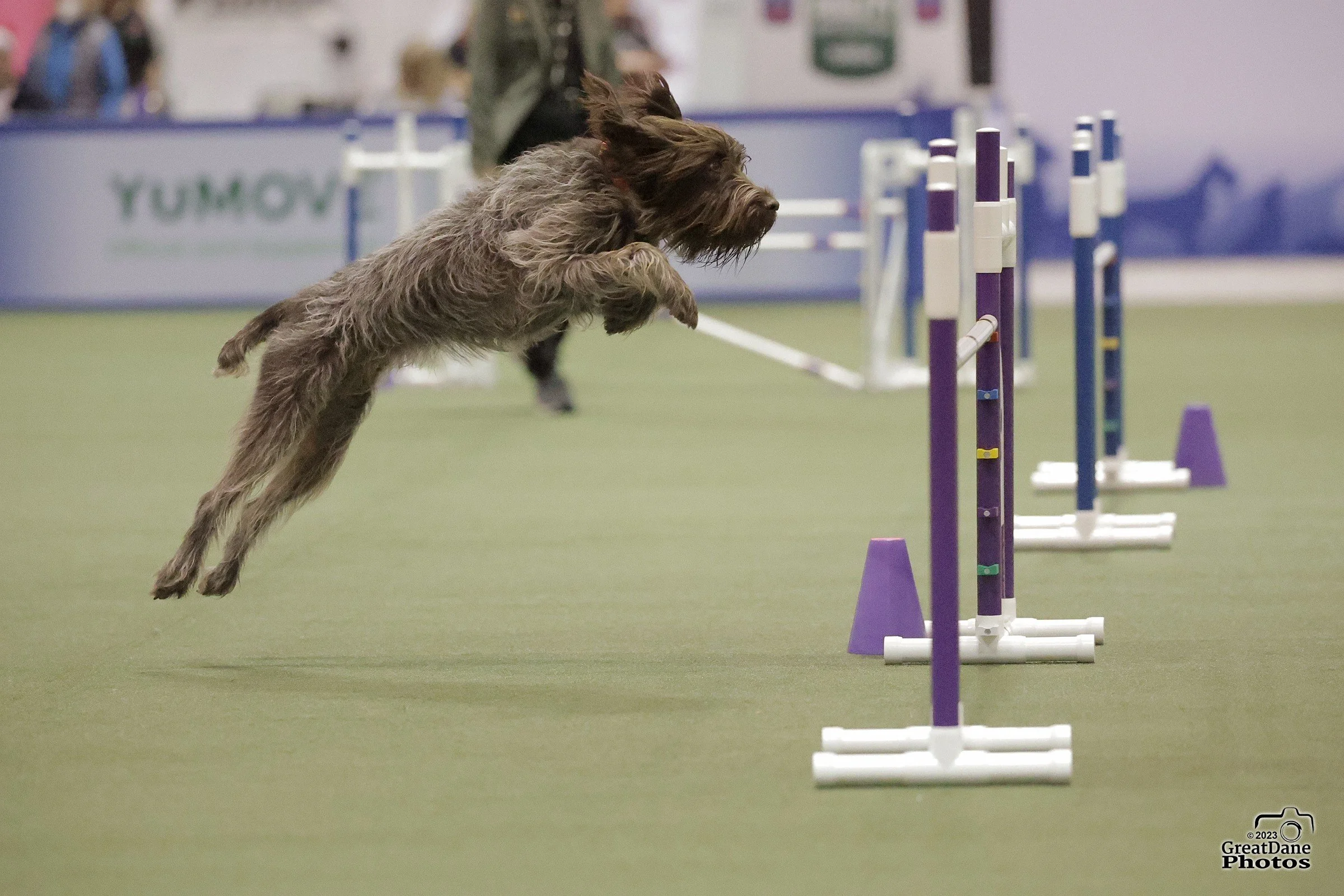 Crash agility DOY 2024(1).jpg