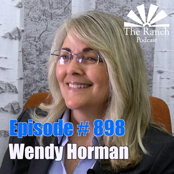 Federal Childcare Fraud &amp; Fixing the System with Wendy Horman