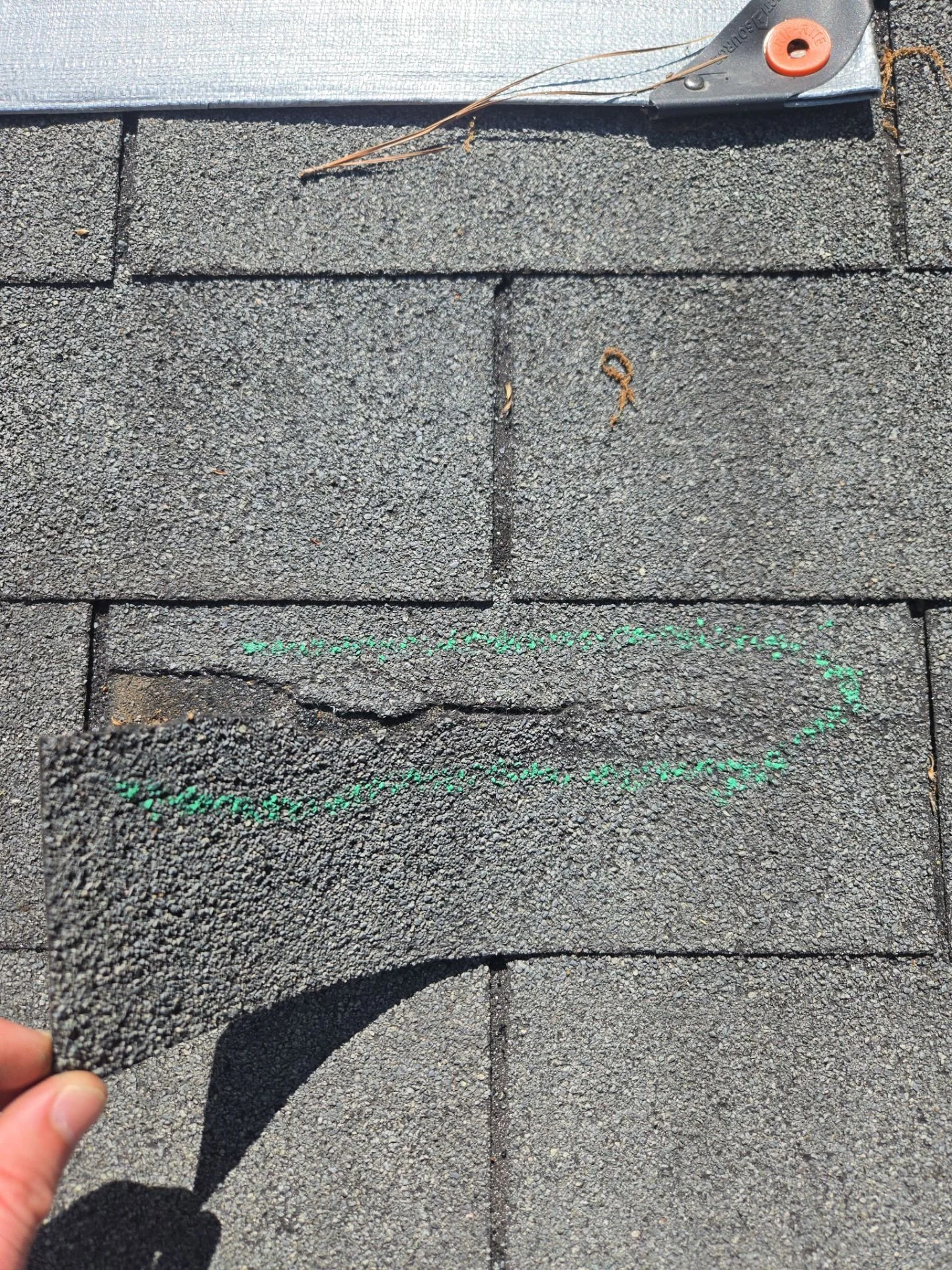 Close-up of a torn gray asphalt shingle outlined with a green chalk mark, held by hand of roof inspector.