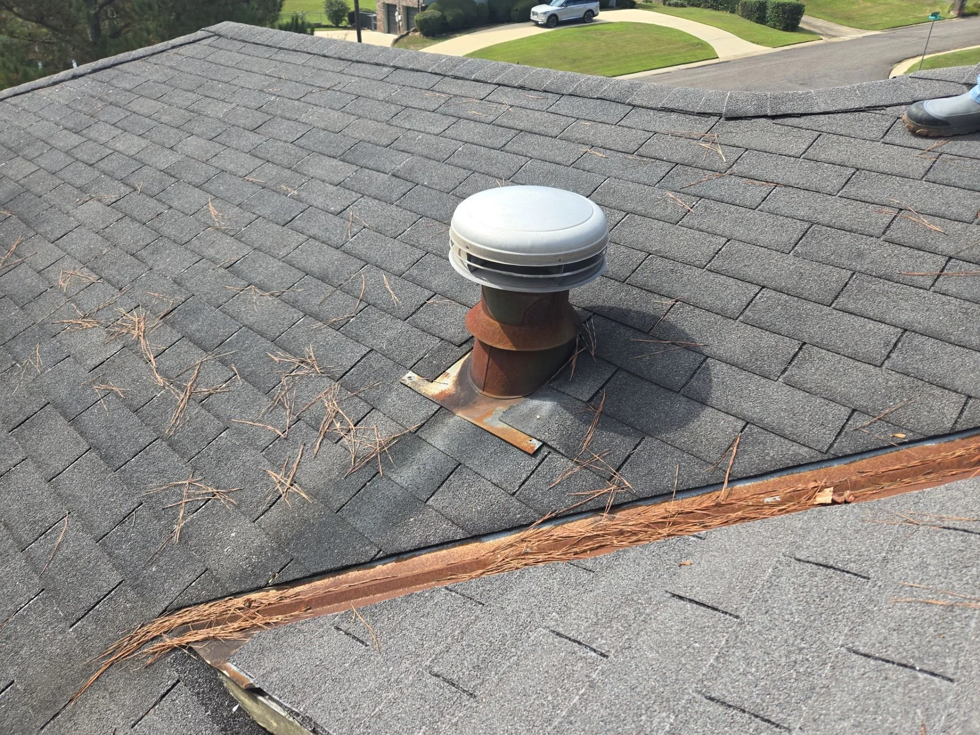 rusted chimney vent on an asphalt shingle roof covered with pine straw on a sunny day