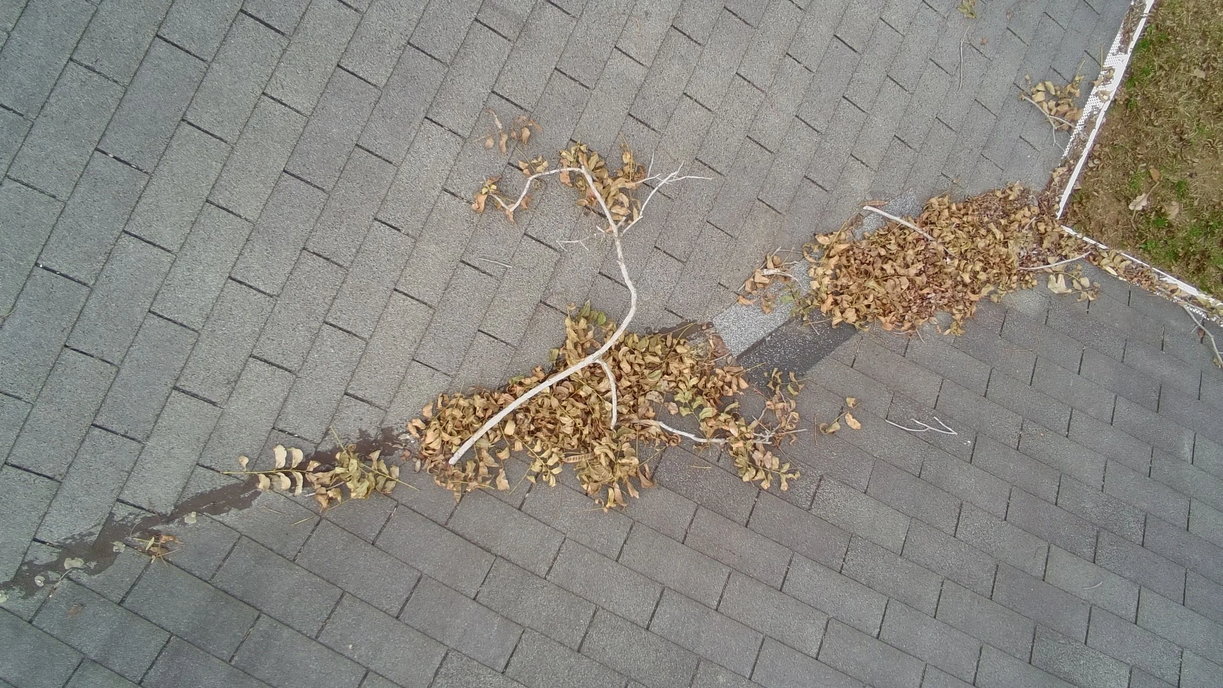 aerial view of an asphalt roof with branches and leaves covering a valley on the roof and gutter guards on the edge of the roof