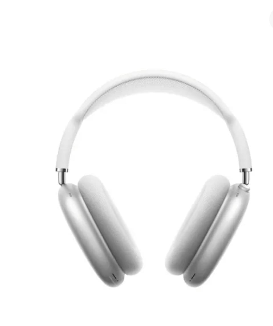 Maxes Silver Front View.jpg