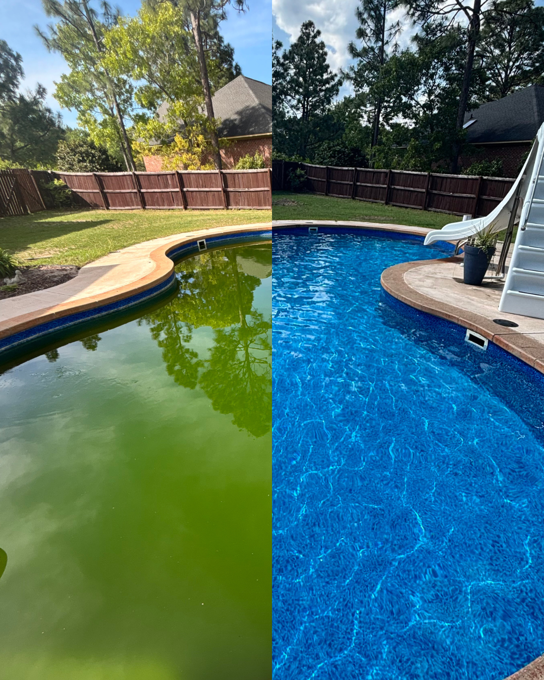 Side-by-side comparison of a backyard swimming pool before and after cleaning: the left side shows a pool with green algae and cloudy water, the right side shows a clean, clear blue pool.