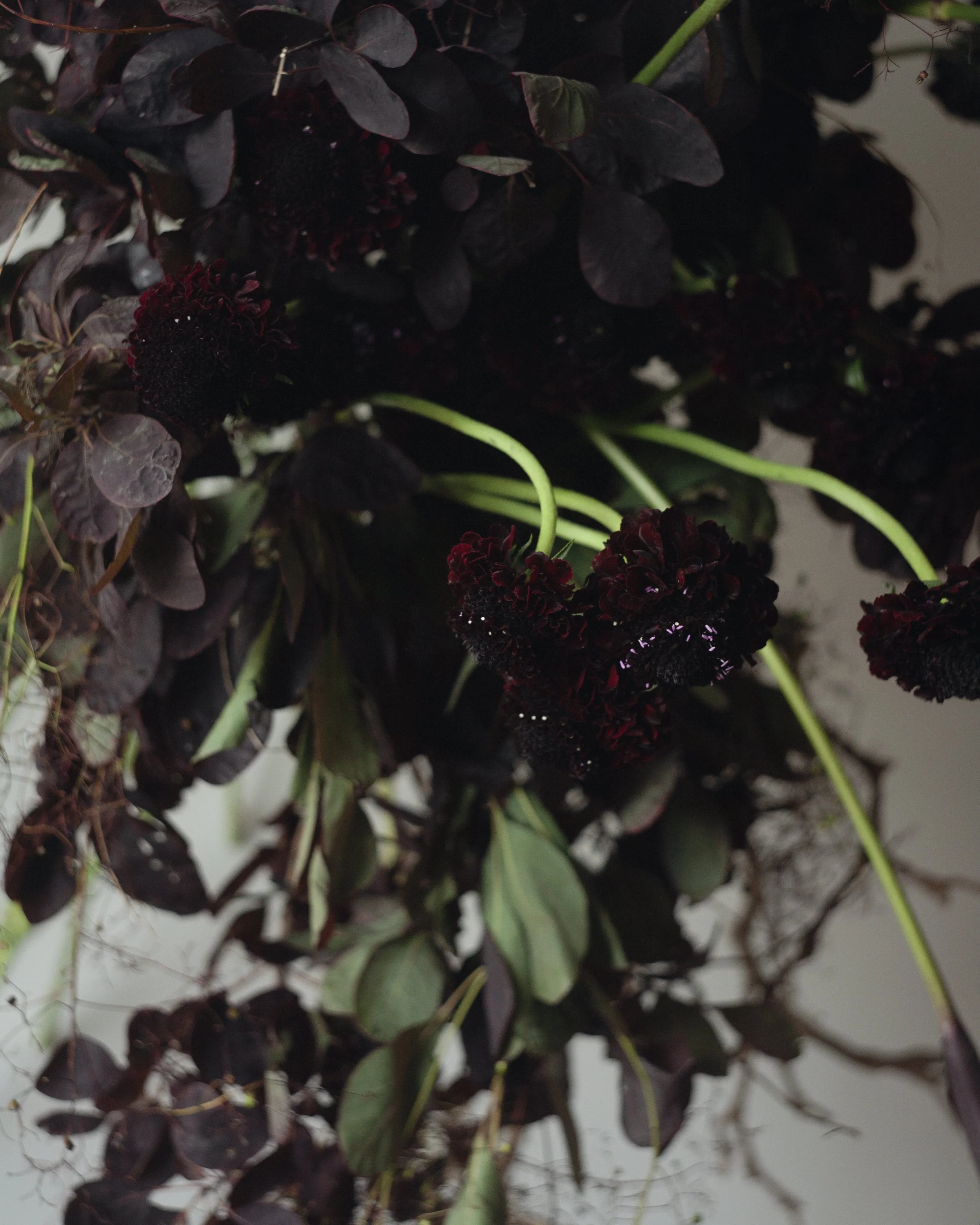 An image of the Float House.