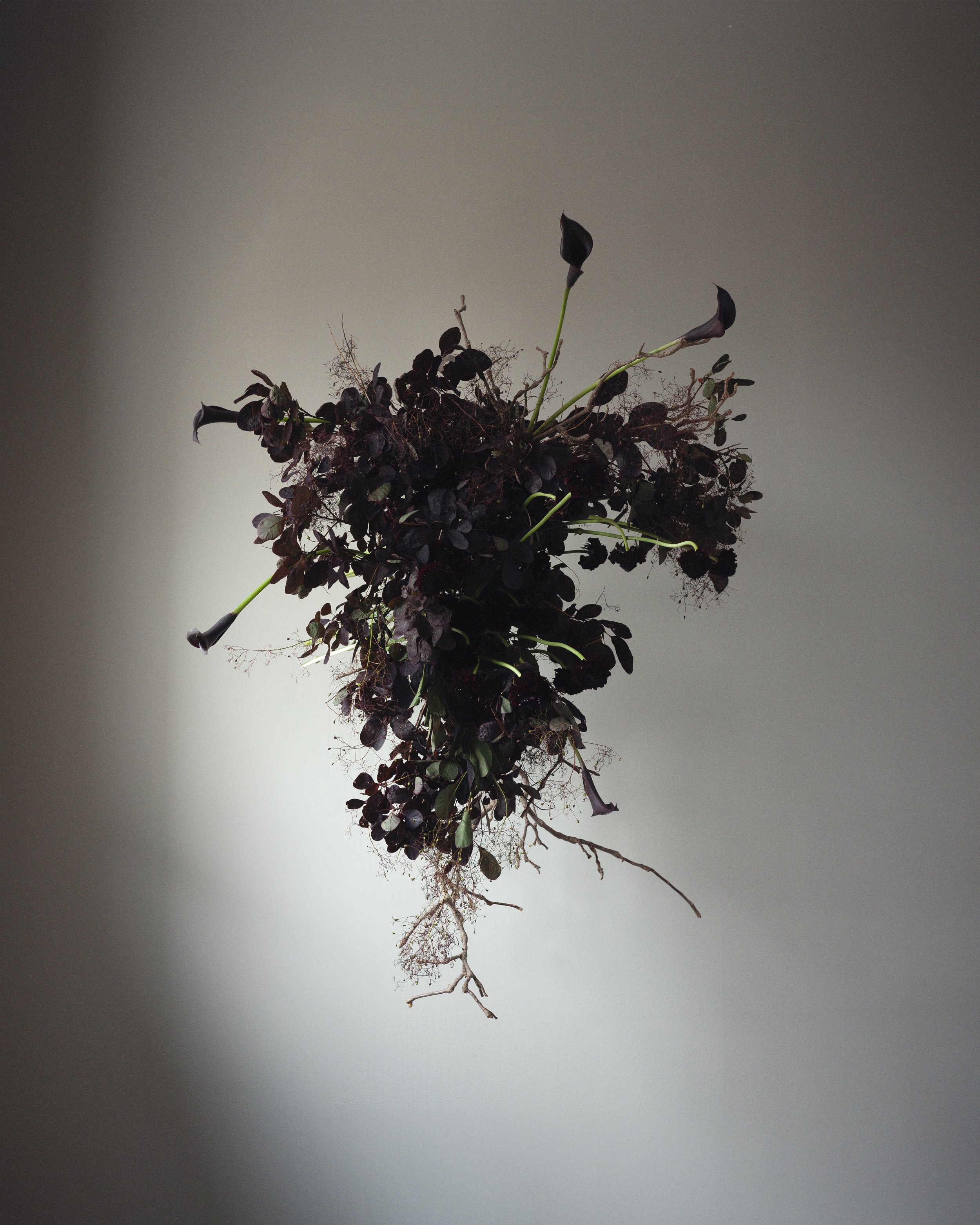 An image of The Float House.