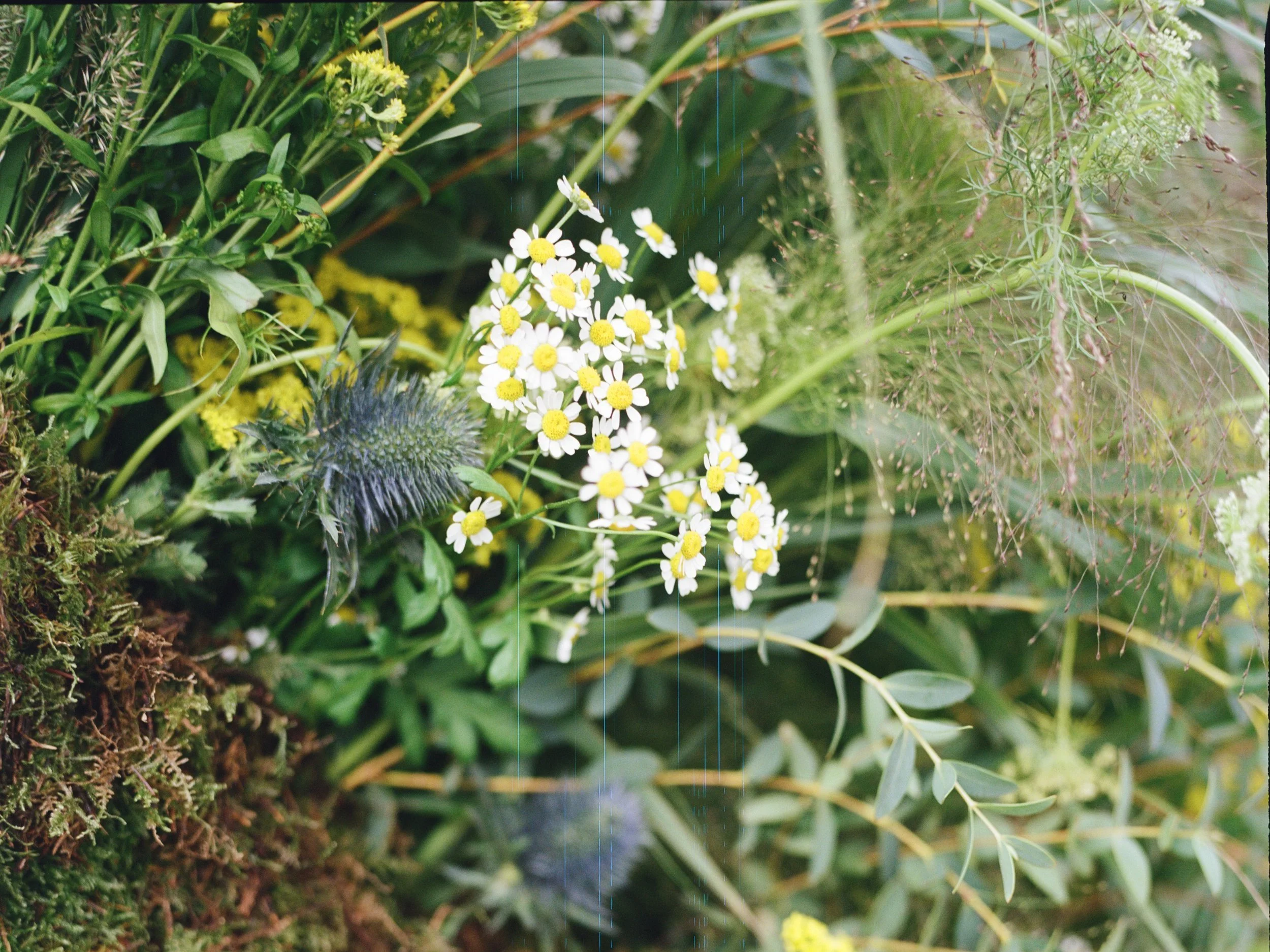 An image of the Float House.