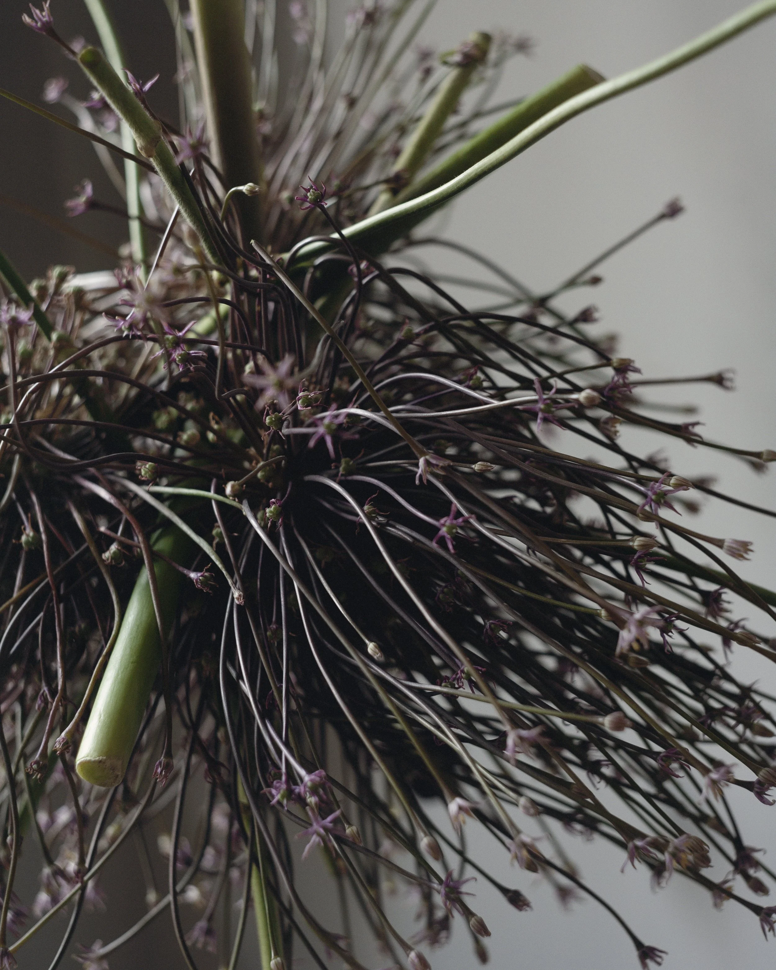 An image of the Cultural Center.