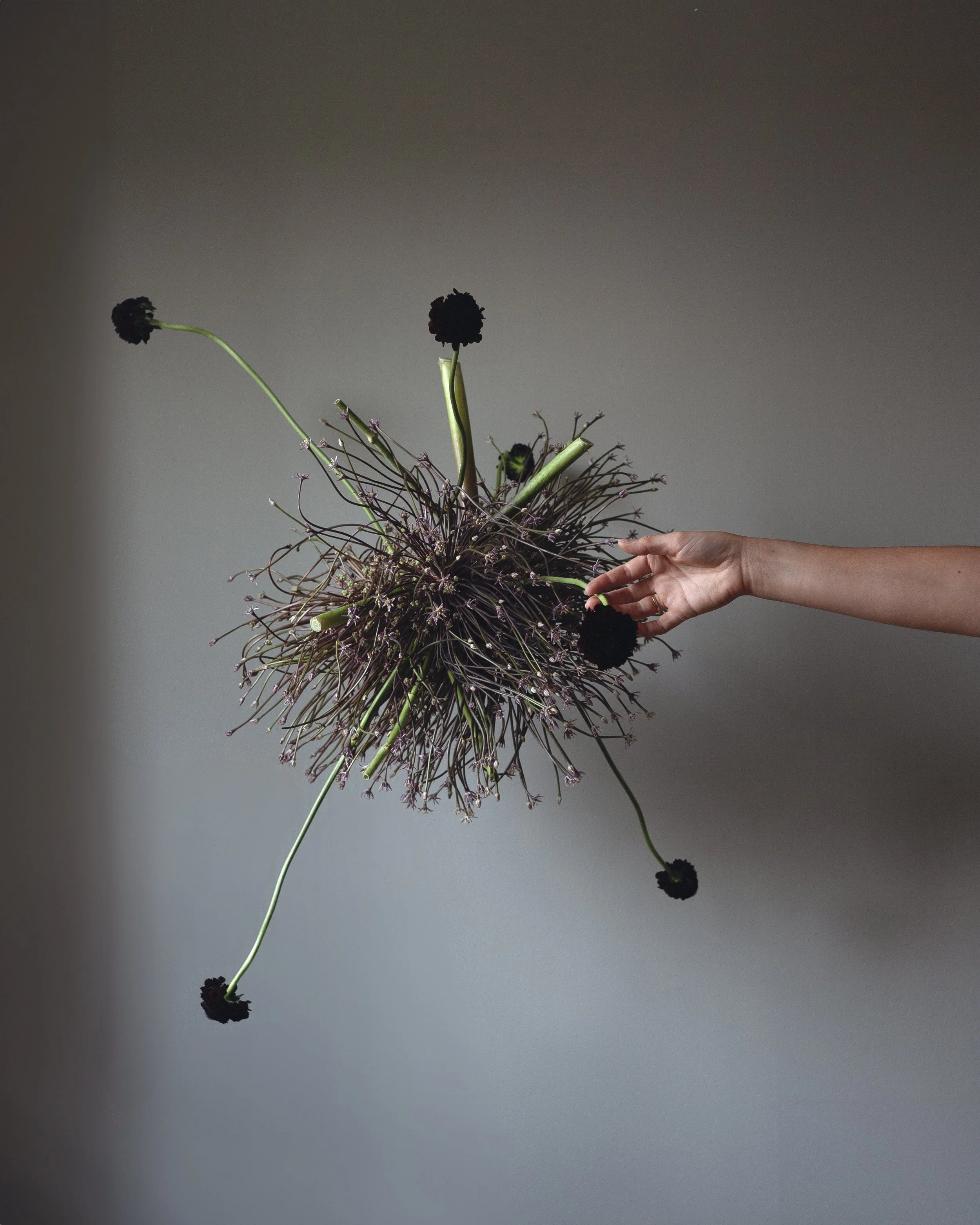 An image of the Cultural Center.