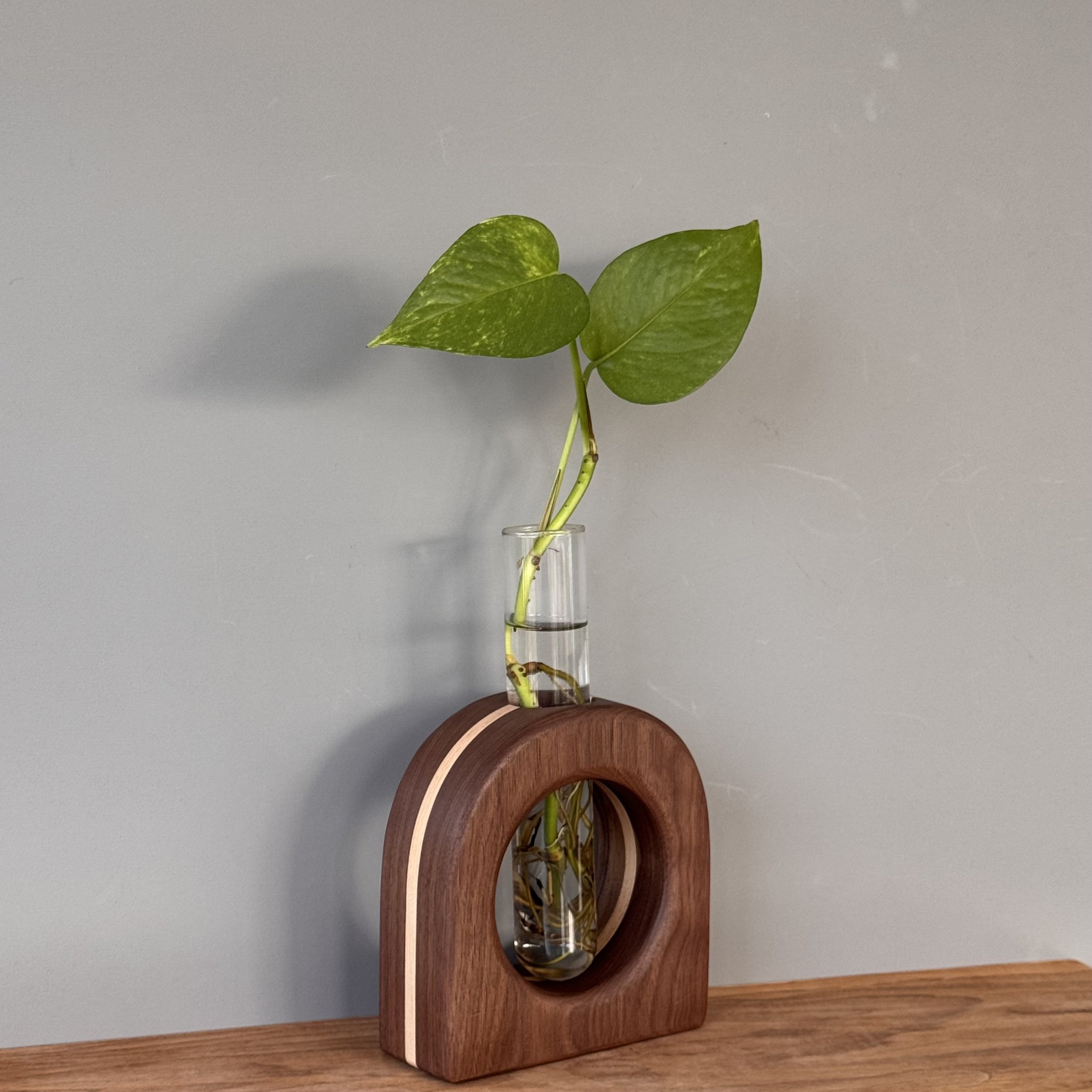 Plant Propogator