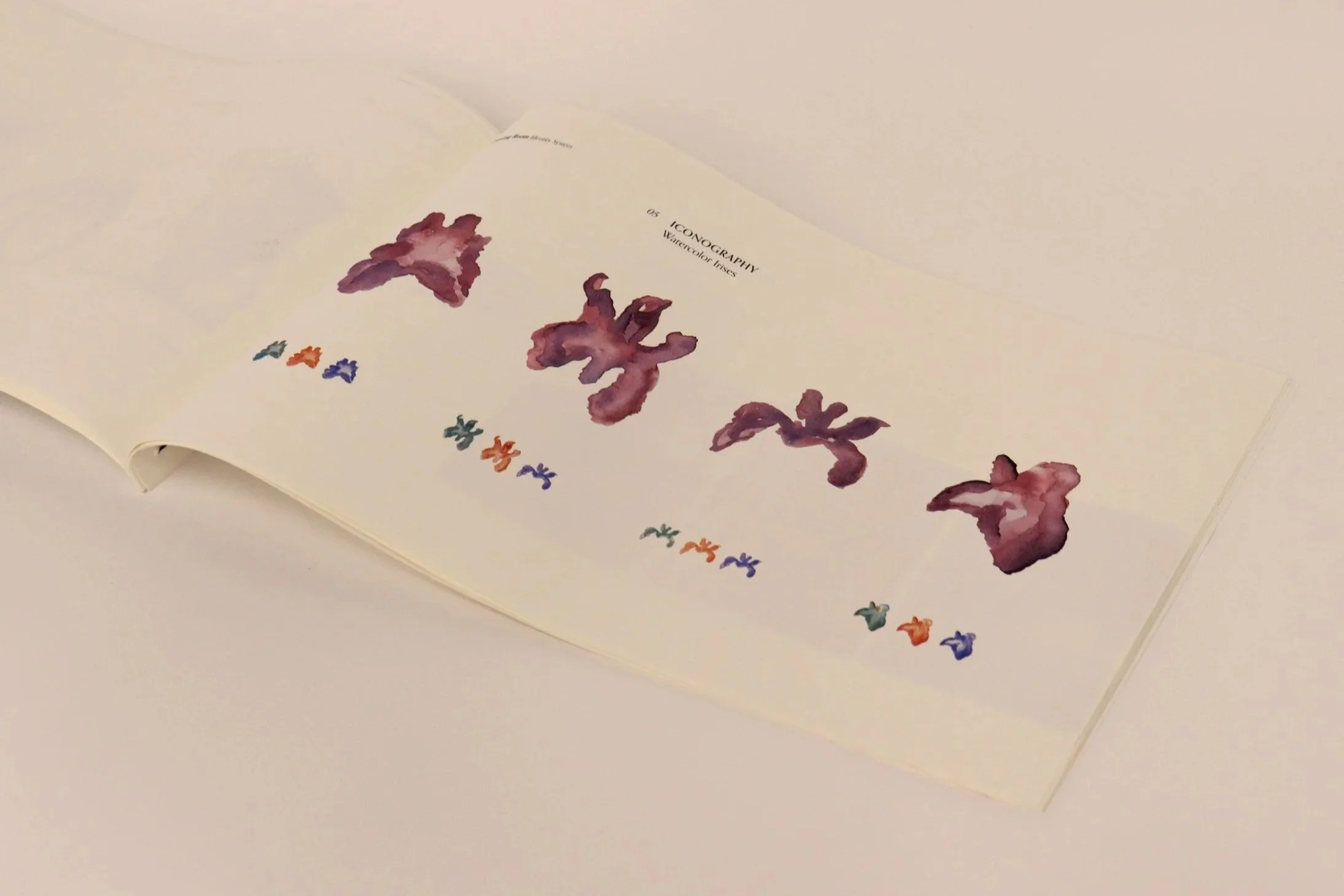 Original watercolor irises