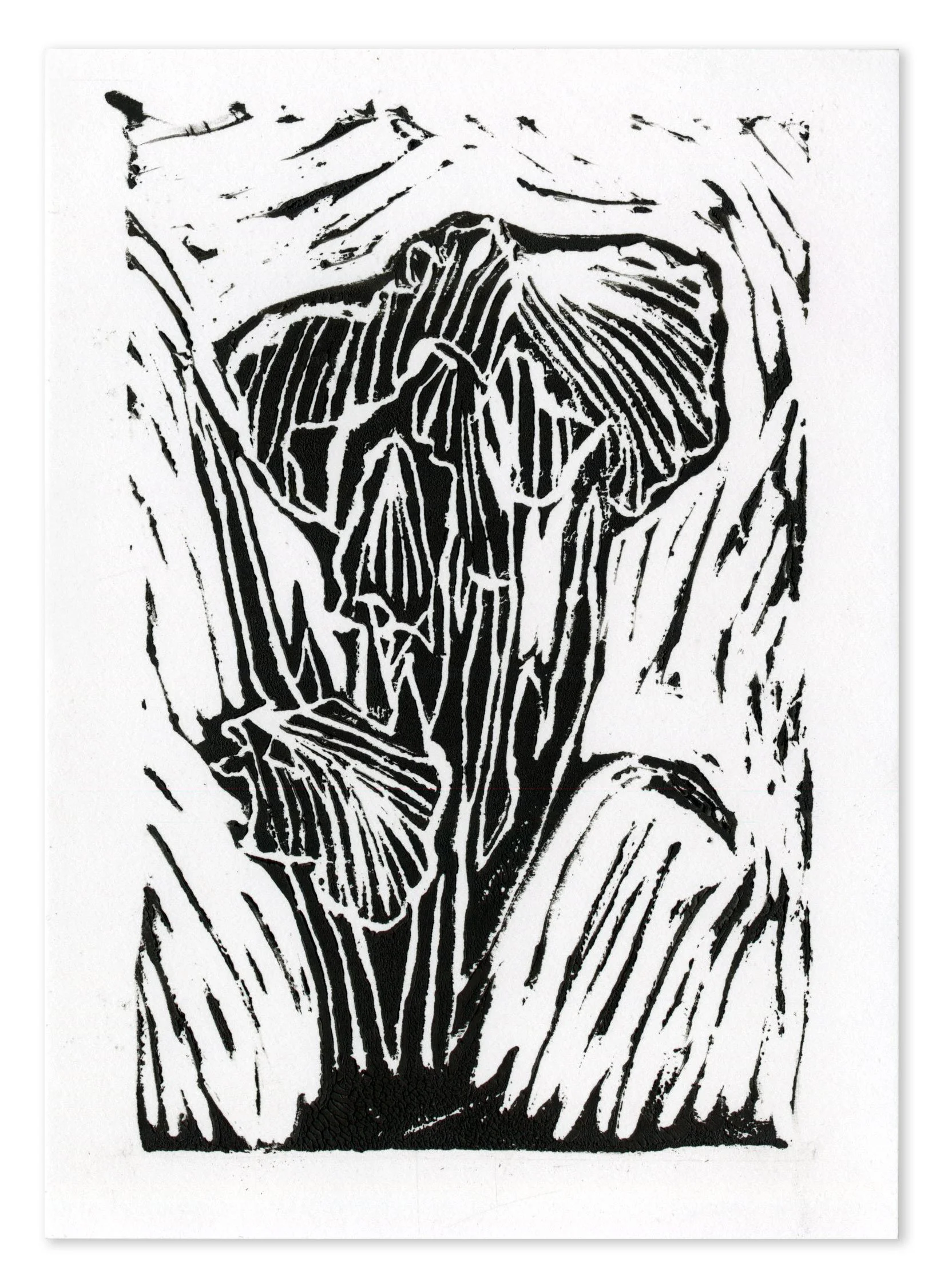 Iris Patch, 4 x 6 in