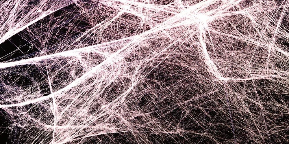 Anatomy Trains in Motion