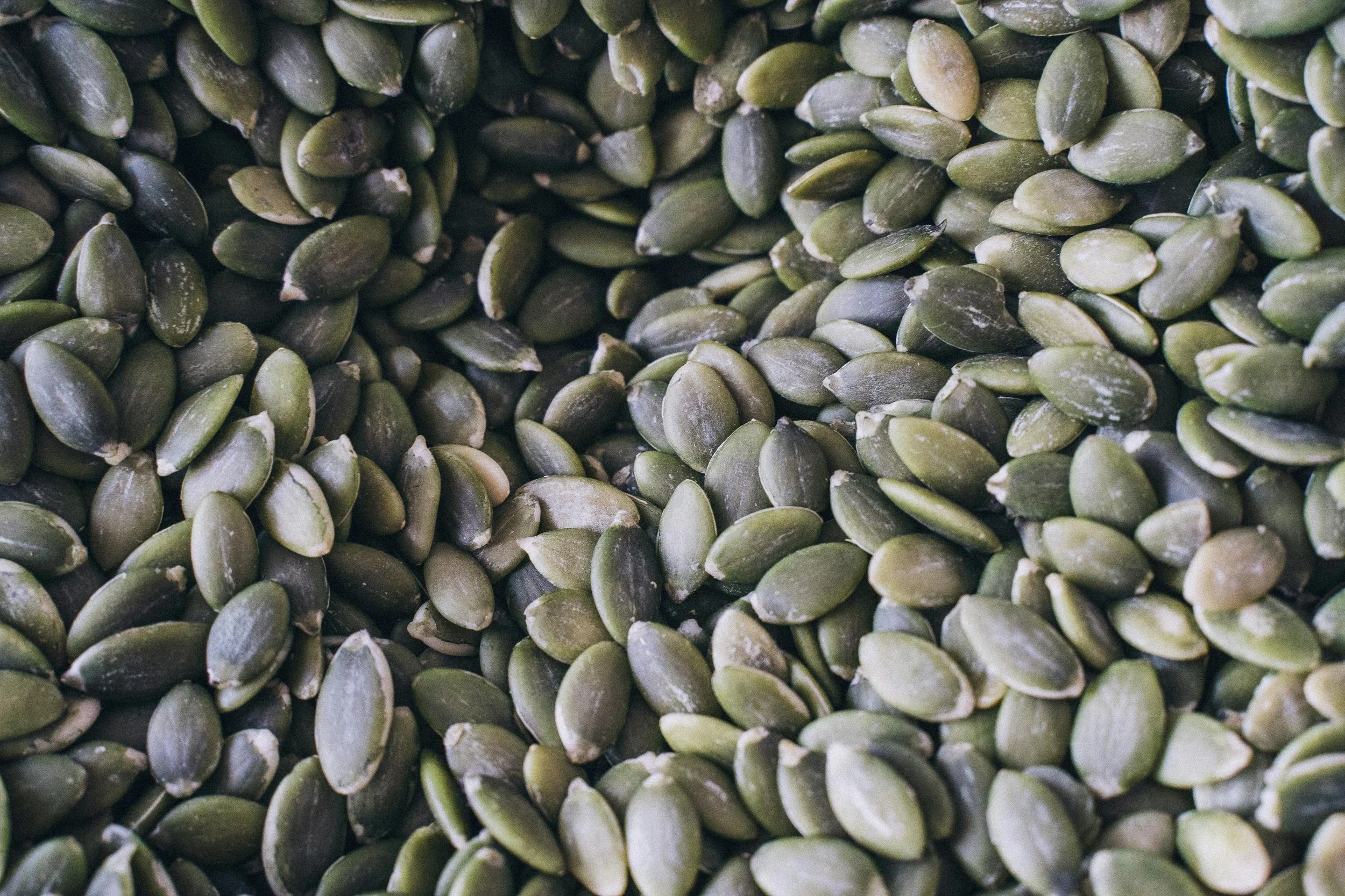Magnesium and Muscle Function