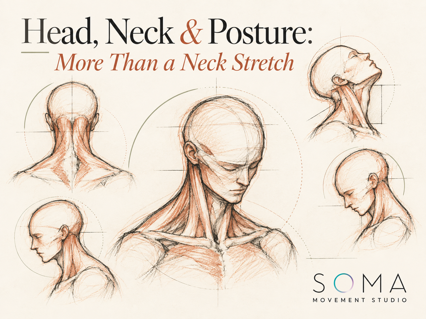 Head, Neck & Posture: More Than a Neck Stretch