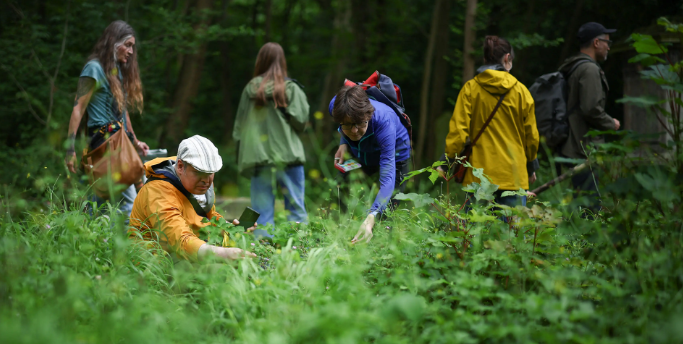 Adult Bushcraft: Land Navigation & Foraging