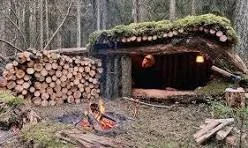 Adult Bushcraft: Structure Building & Protection from the Elements