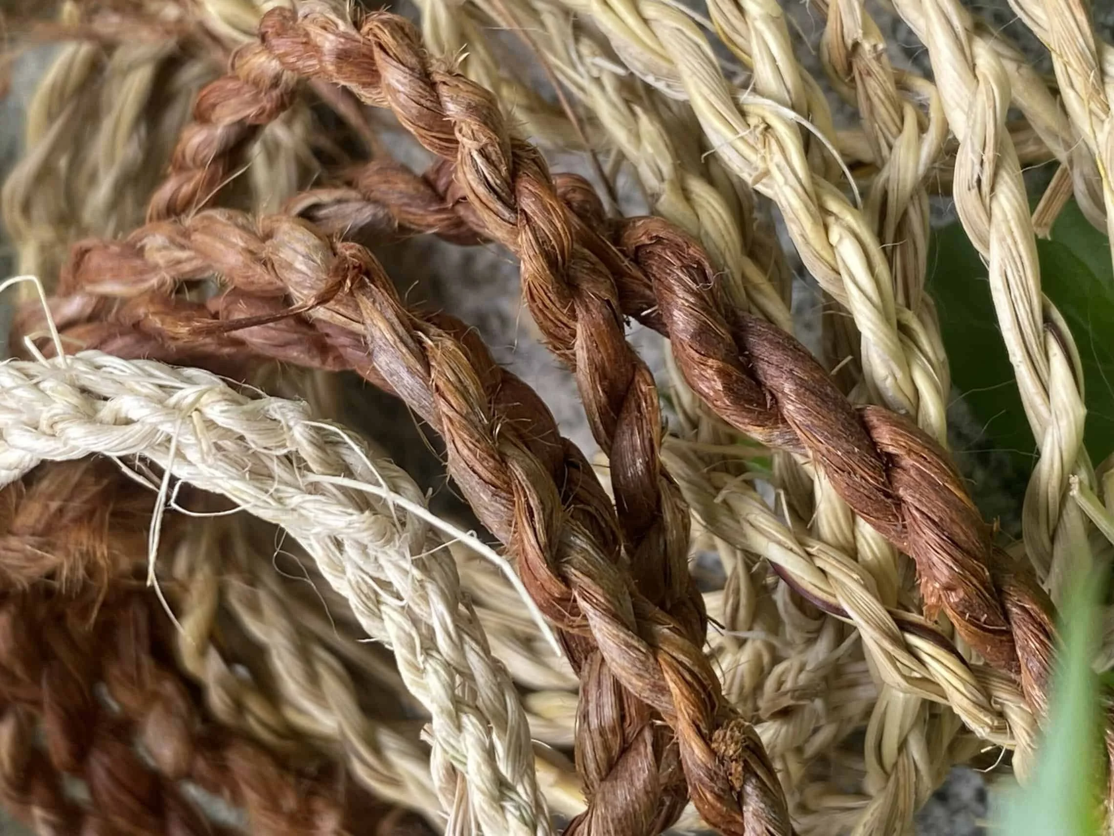 Adult Bushcraft: Cordage, Knots & Tool Making