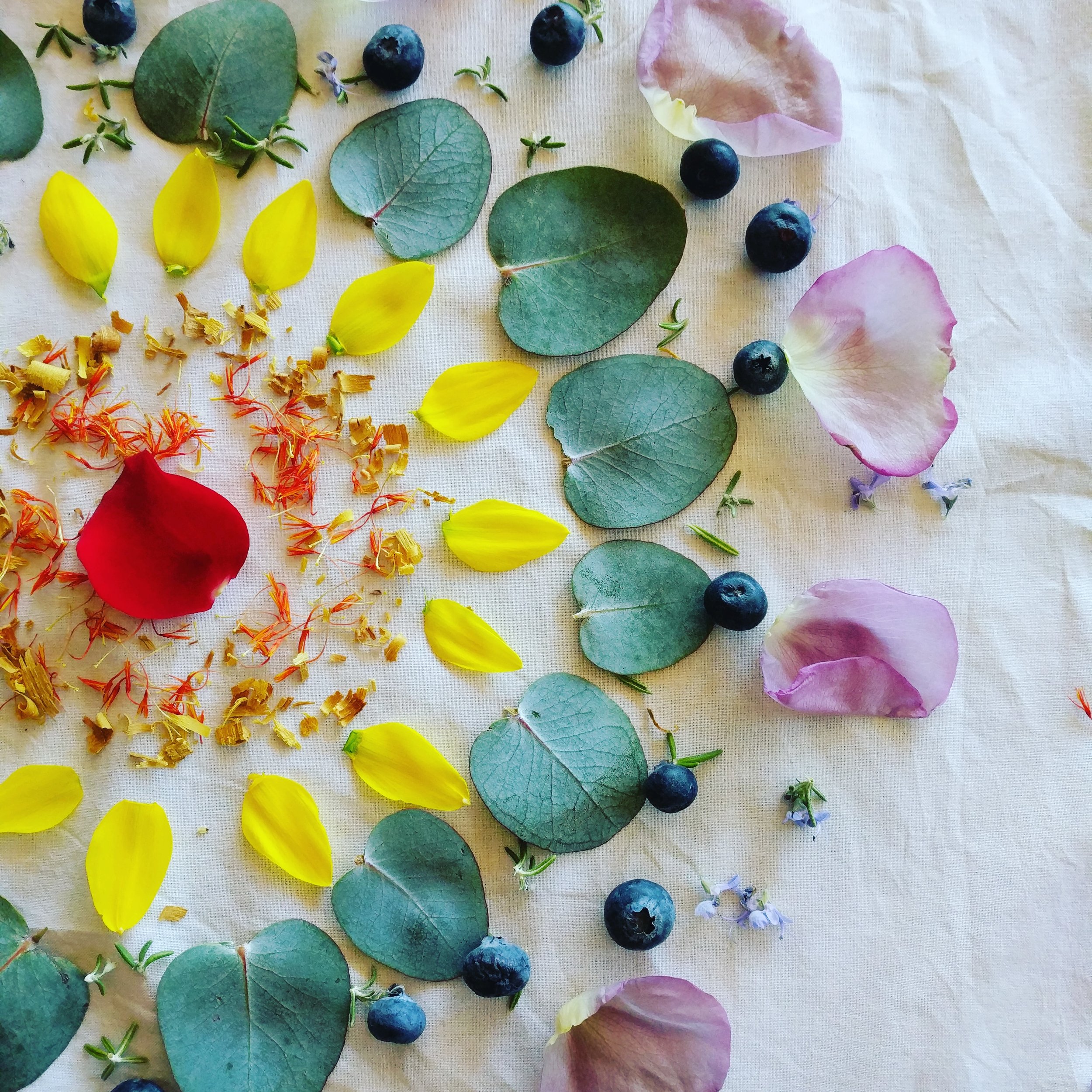 Earth to Color: Pigment, Pattern, and Transformation