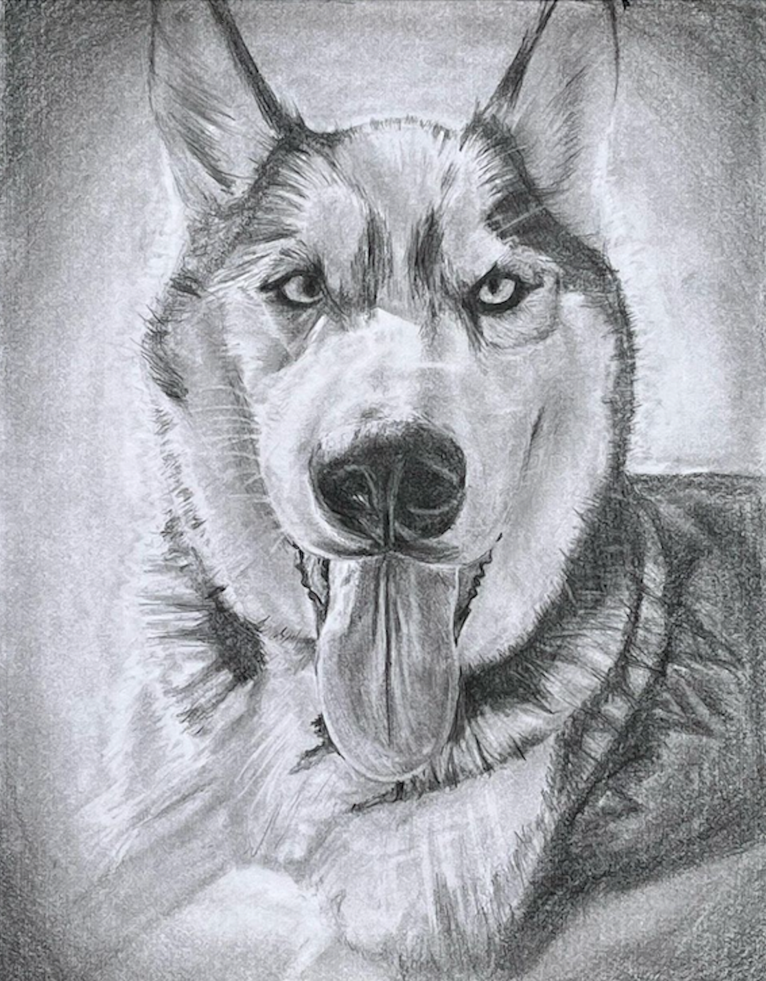 Pet Portrait, 2021, Graphite on paper