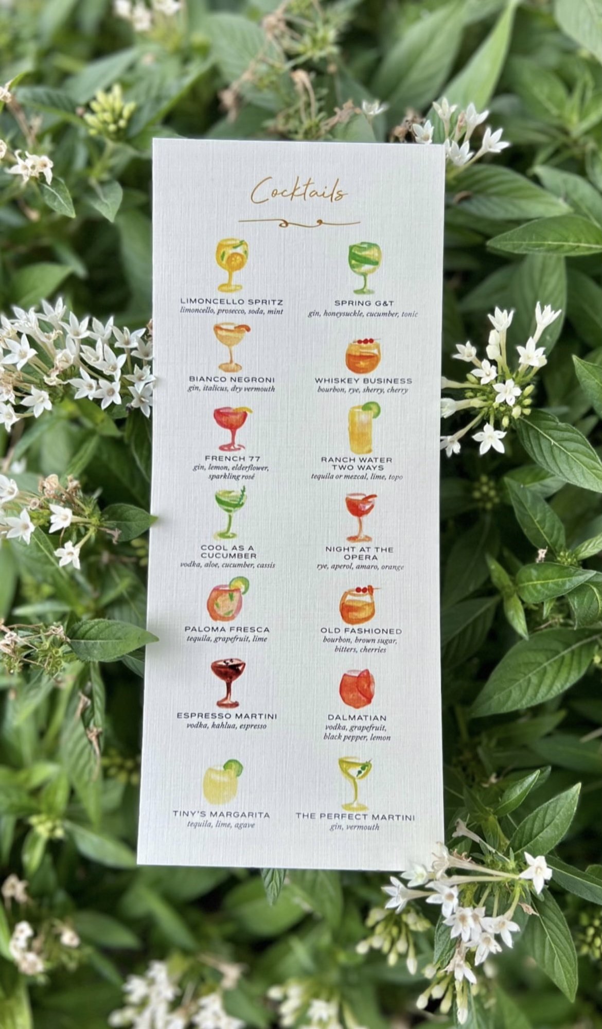 Tiny Boxwoods, Cocktail Menu, 2023-2025, Watercolor on paper