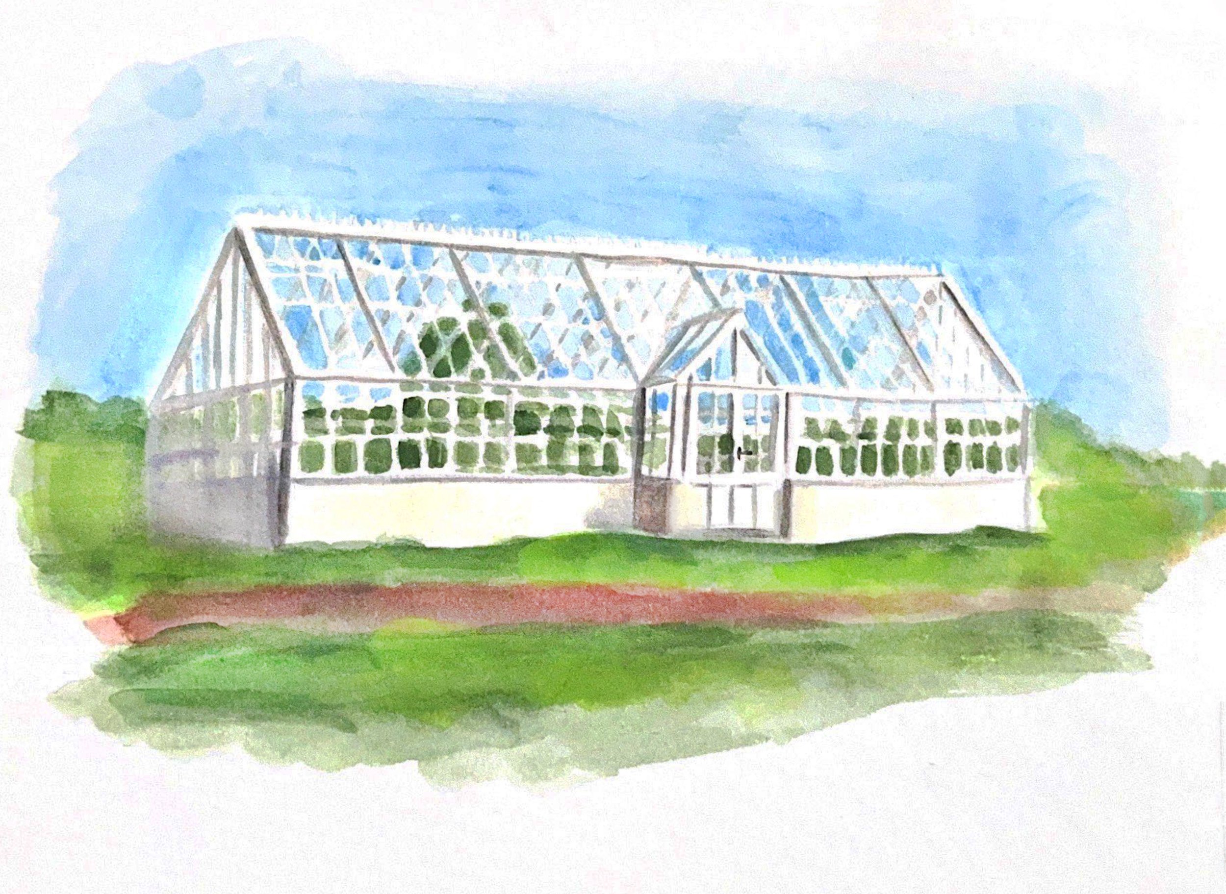 Thompson + Hanson Farms, Greenhouse, 2024, Watercolor on paper