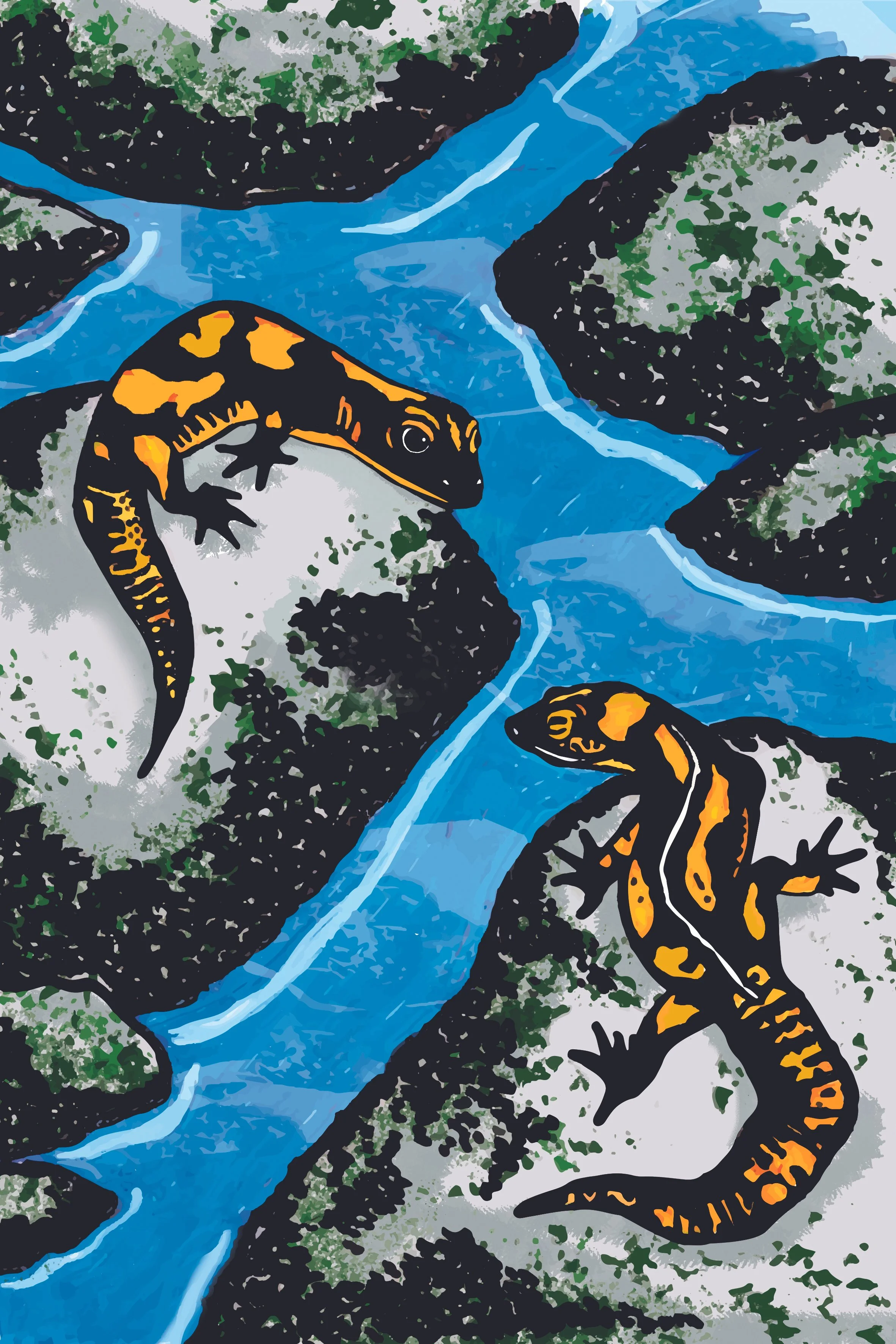 Salamandra