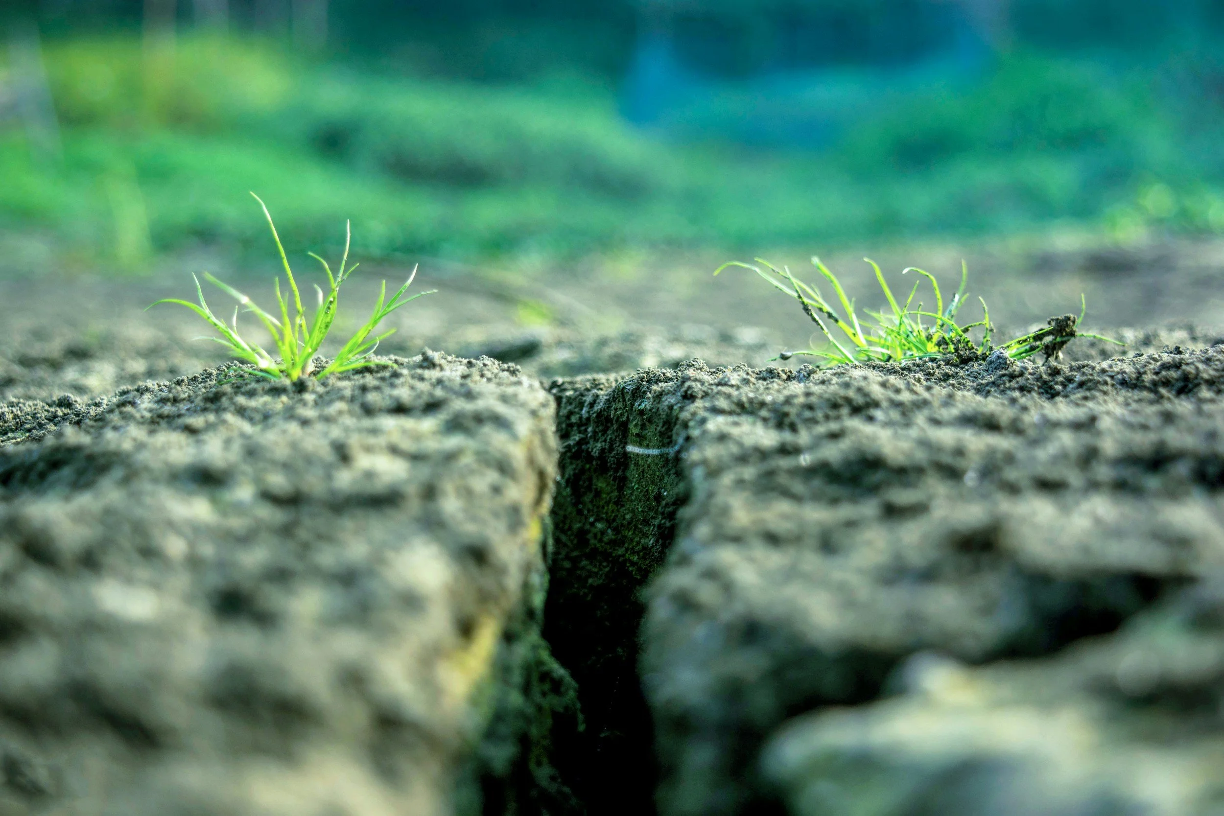 Between the cracks