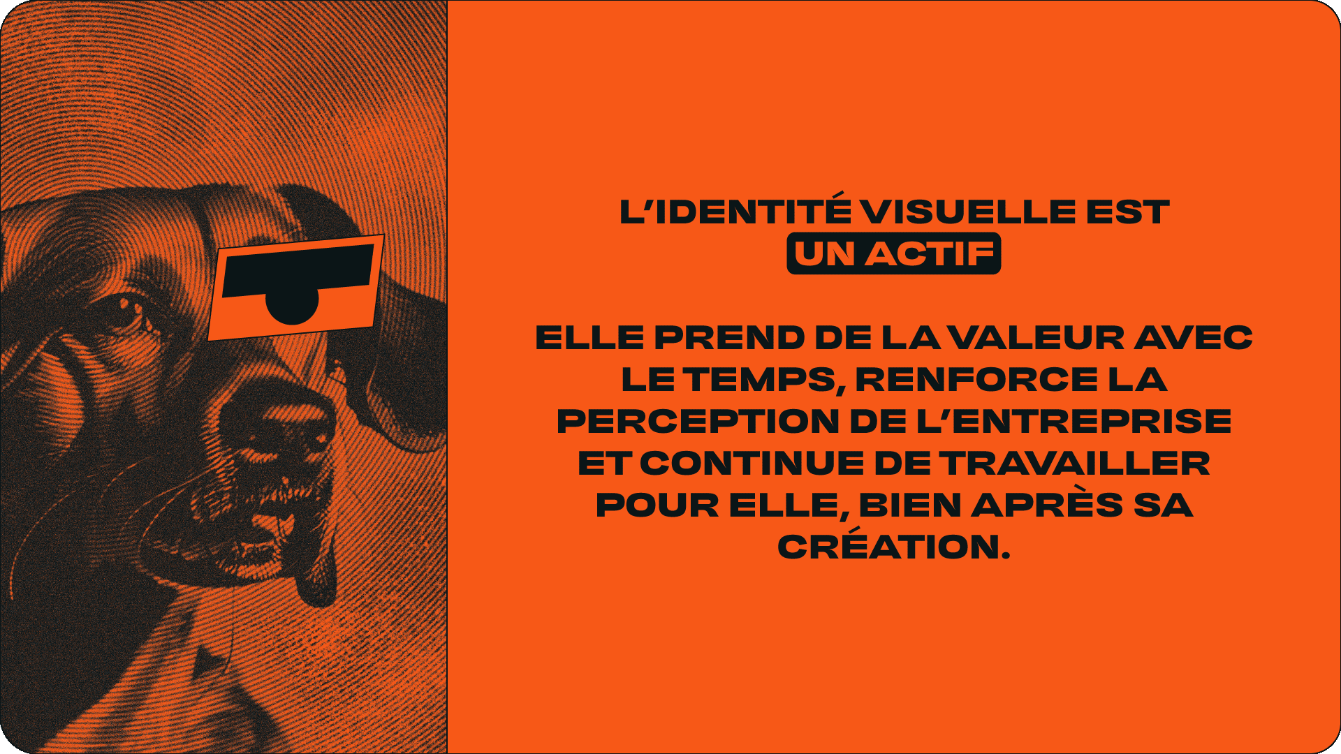 Une image divisée en deux parties. La partie gauche montre une illustration en style pop art en noir et orange d'un chien ou d'un animal avec des lunettes de soleil. La partie droite contient un texte en français sur un fond orange avec en gras certains mots : "L’IDENTITÉ VISUELLE EST UN ACTIF" et un paragraphe expliquant l'importance de l'identité visuelle pour une entreprise.