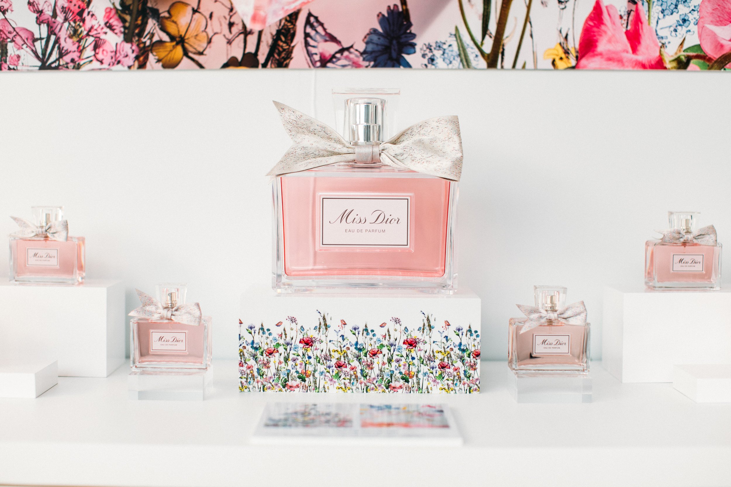 DIORAGENC-Highlights-015.jpg