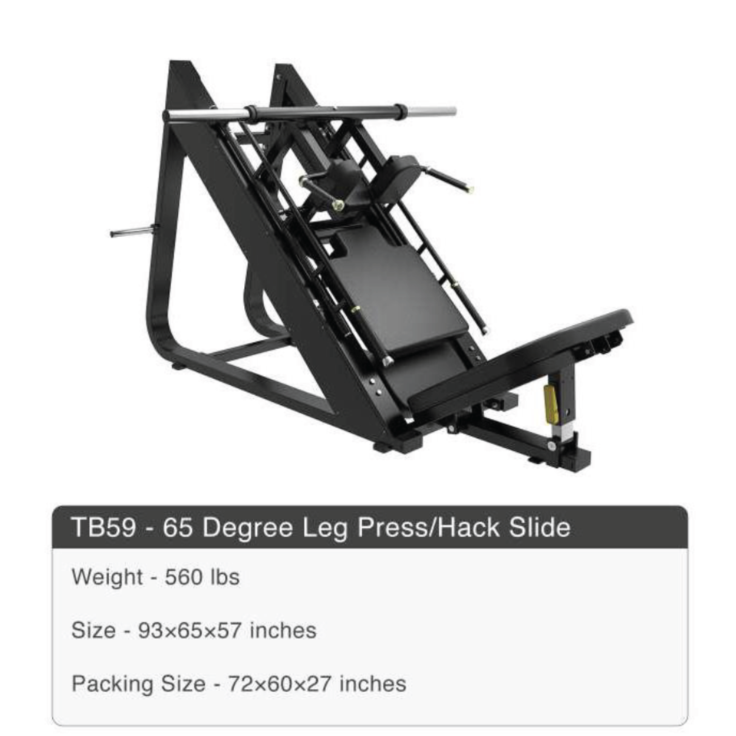catalogue49.png