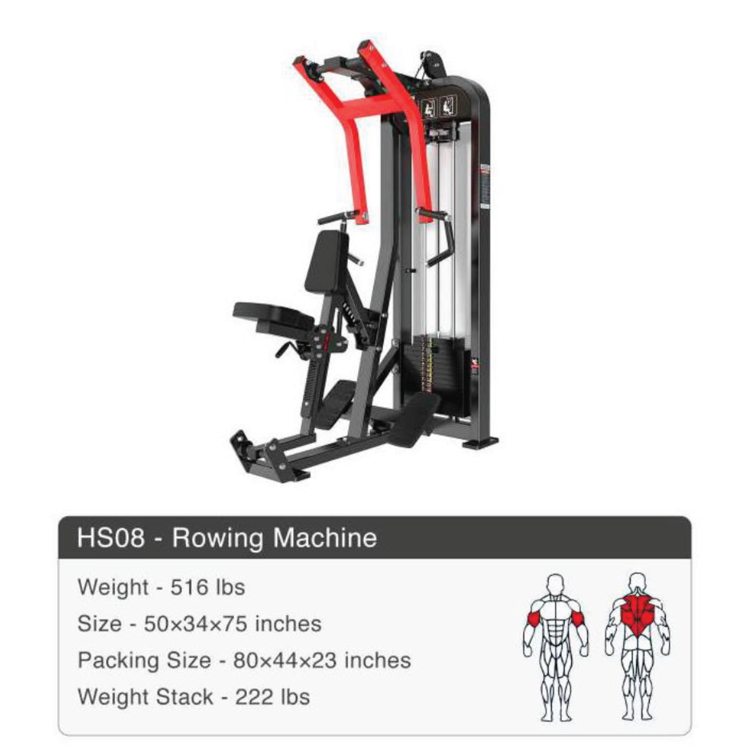 catalogue33.png