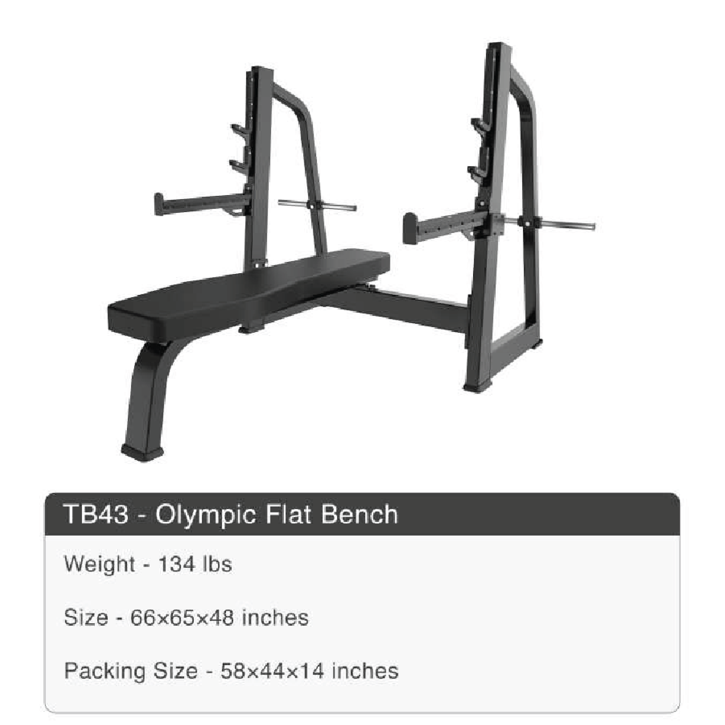 catalogue19.png