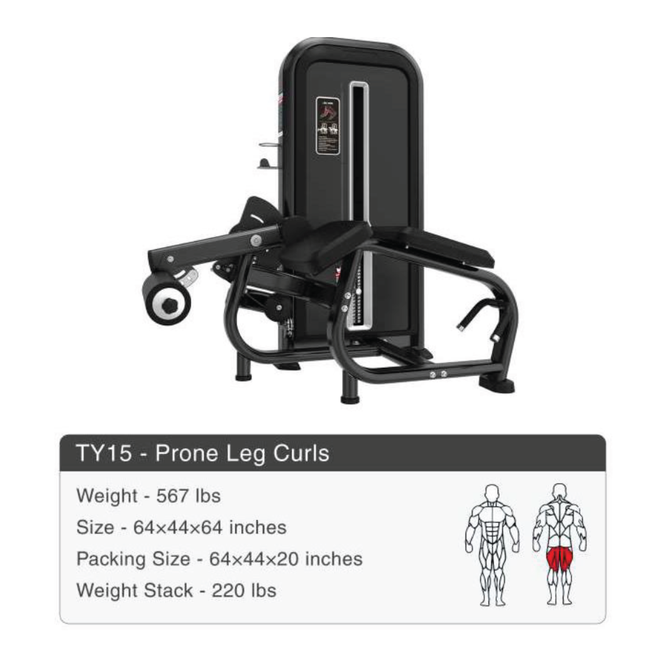 catalogue45.png