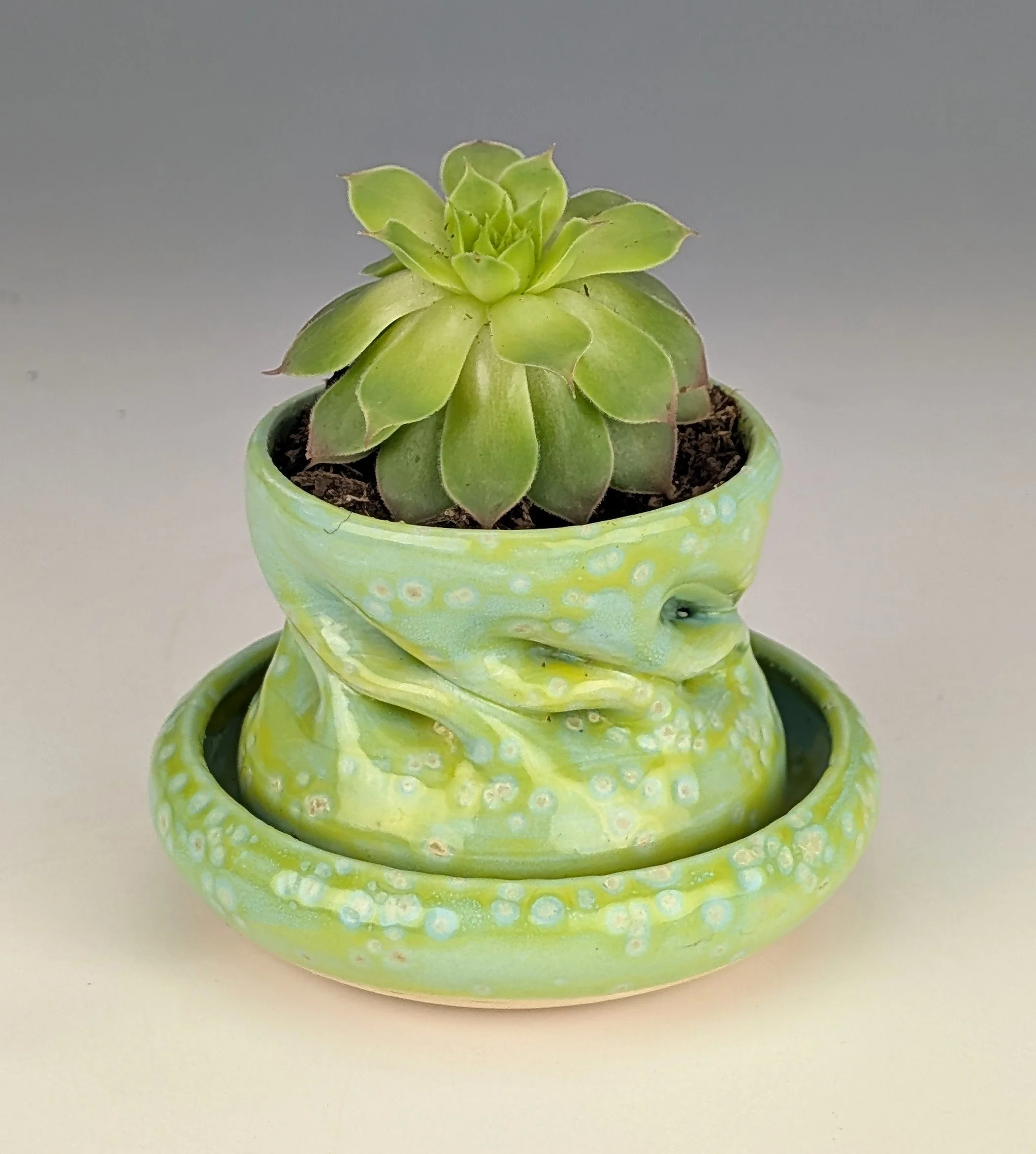 Vibrant Spotted Lime Windowsill Planter