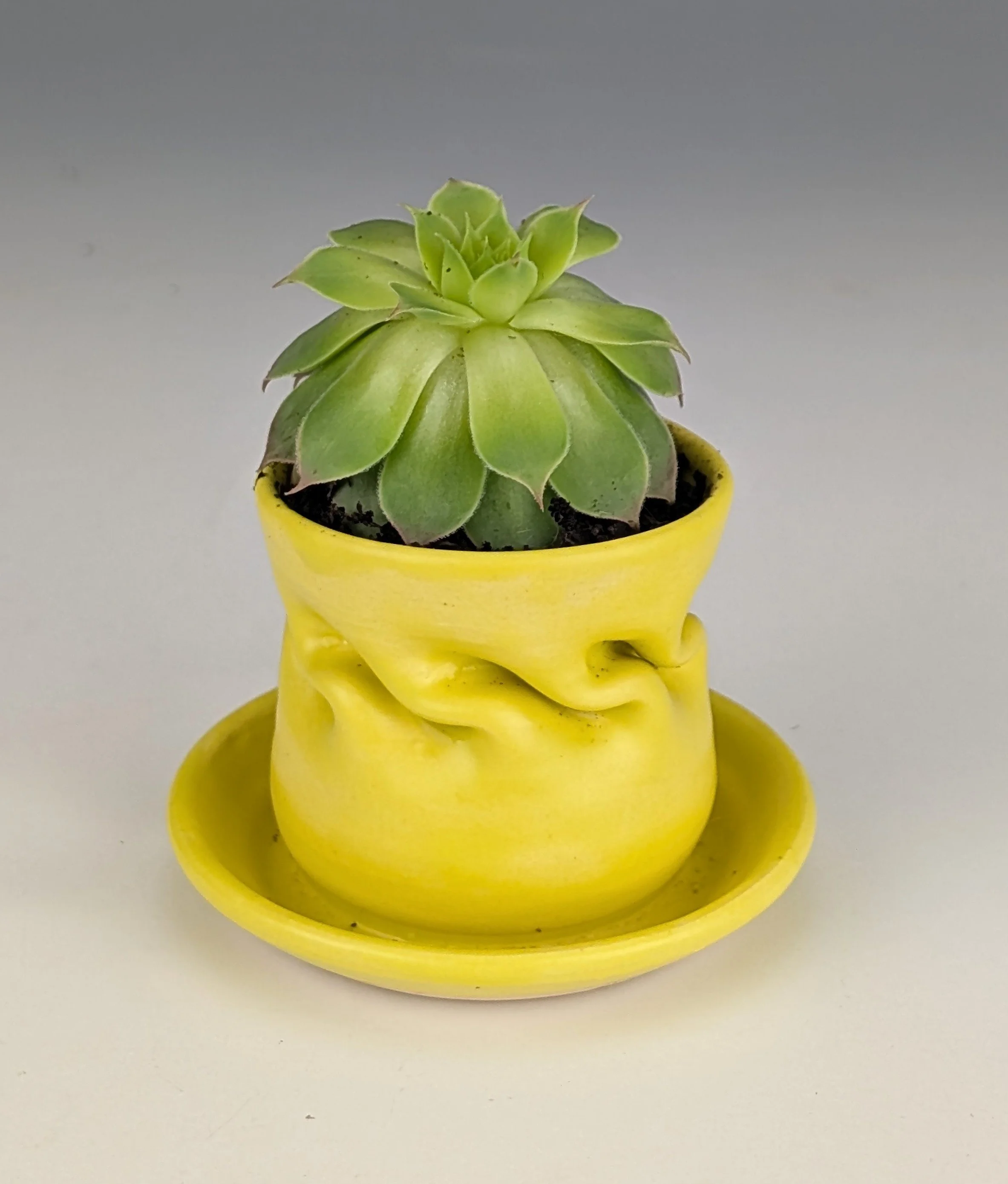 Yellow Glazed Windowsill Planter