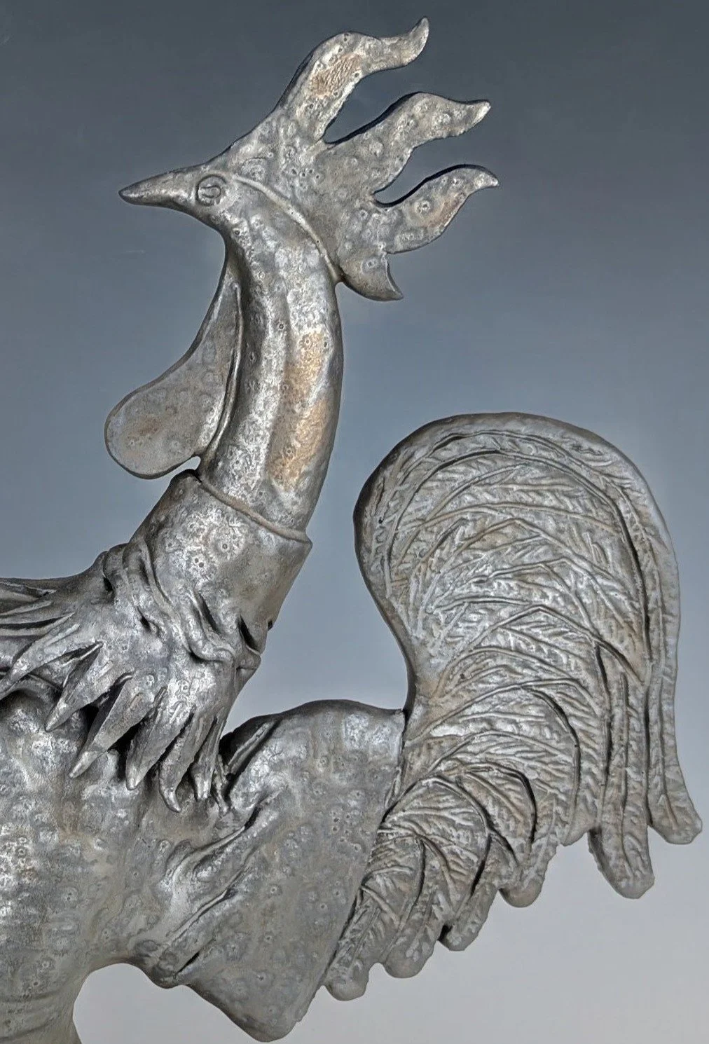 PXL_20261025_150844168.MP~2 Rooster gunmetal head and comb.jpg