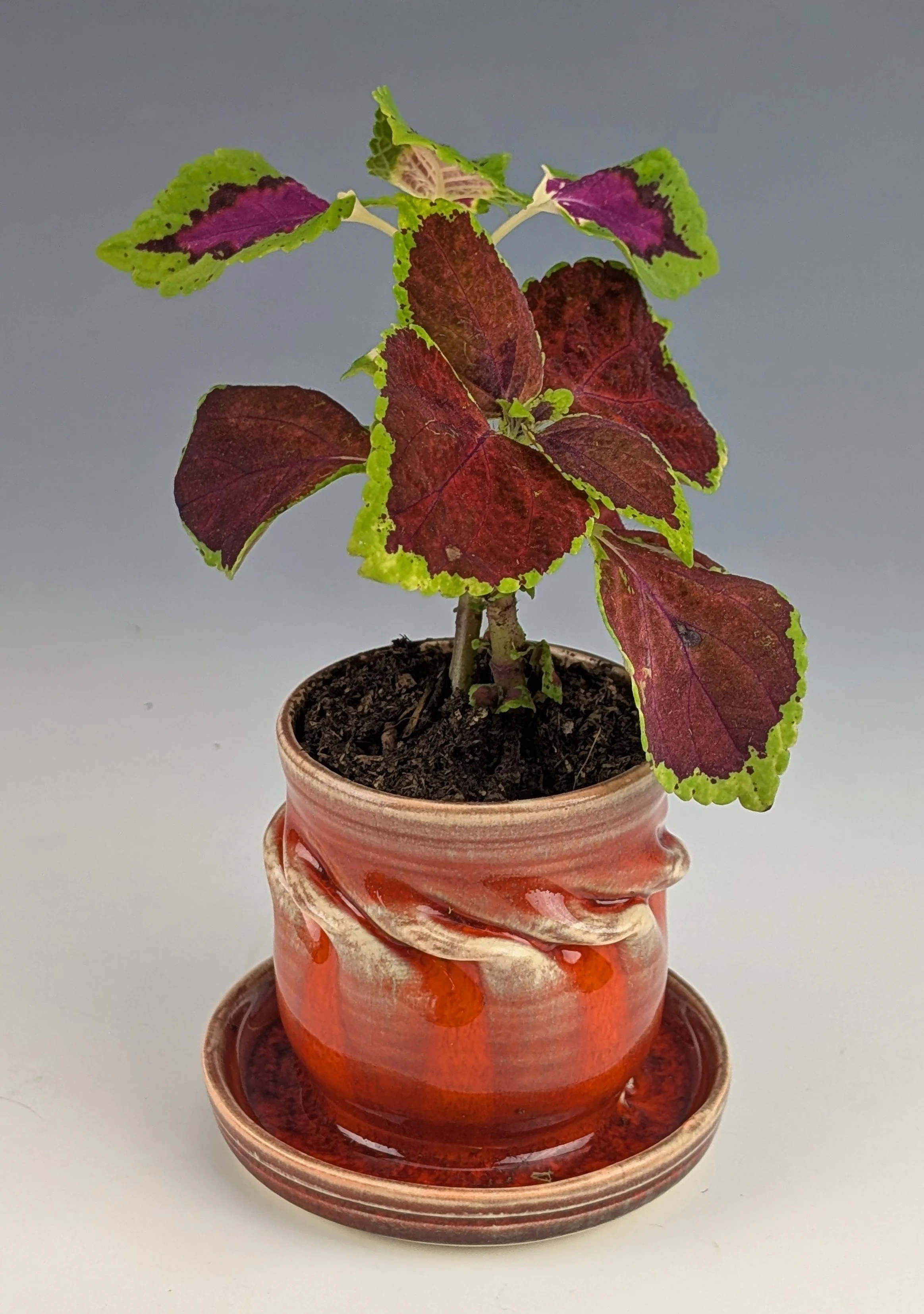 on page 5-26-26 #9- Red Windwsill Flu-Ohr Pot.jpg