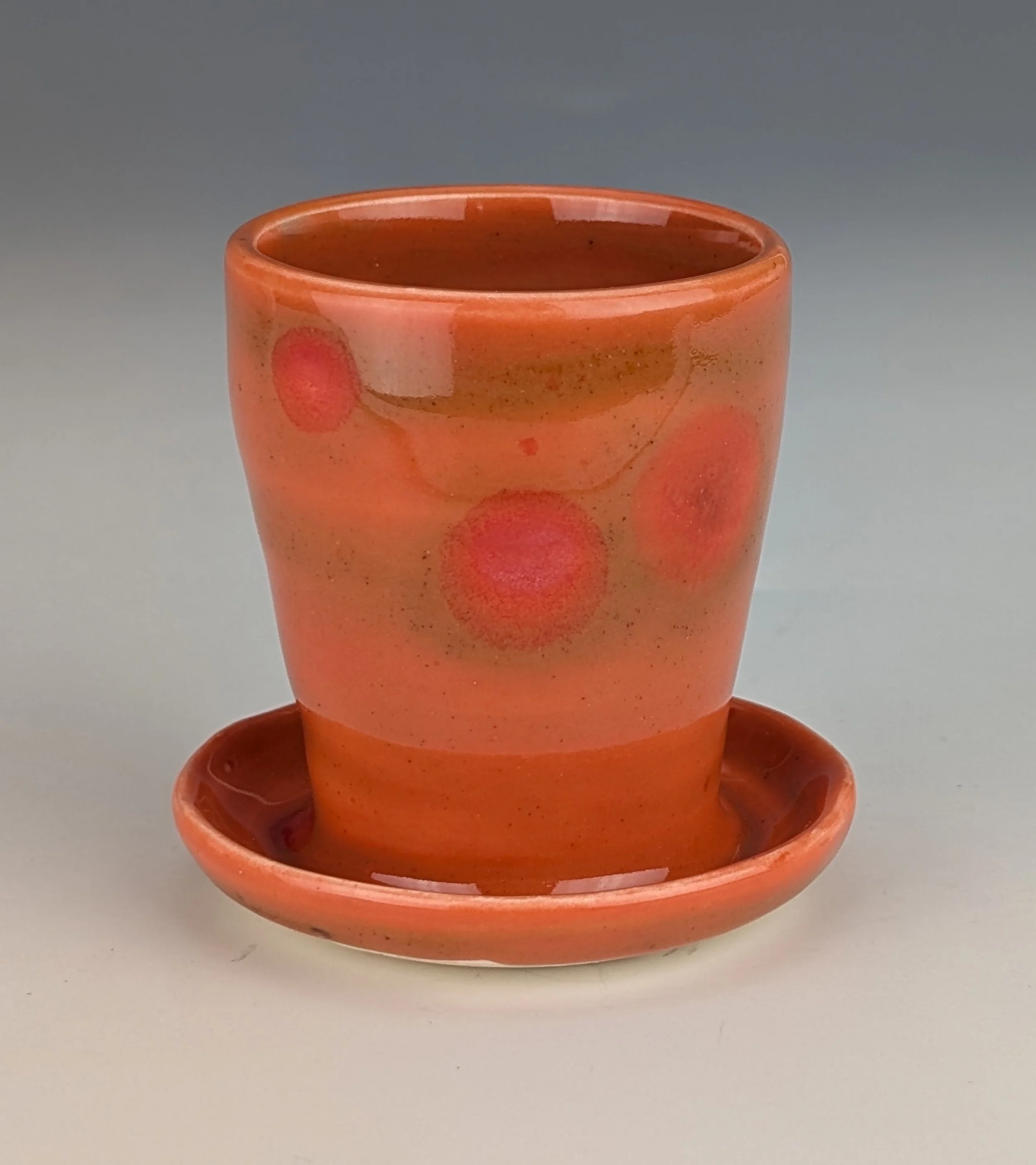on page 5-26-26 #33- Spotted Orange Windowsill Plant-Ohr.jpg
