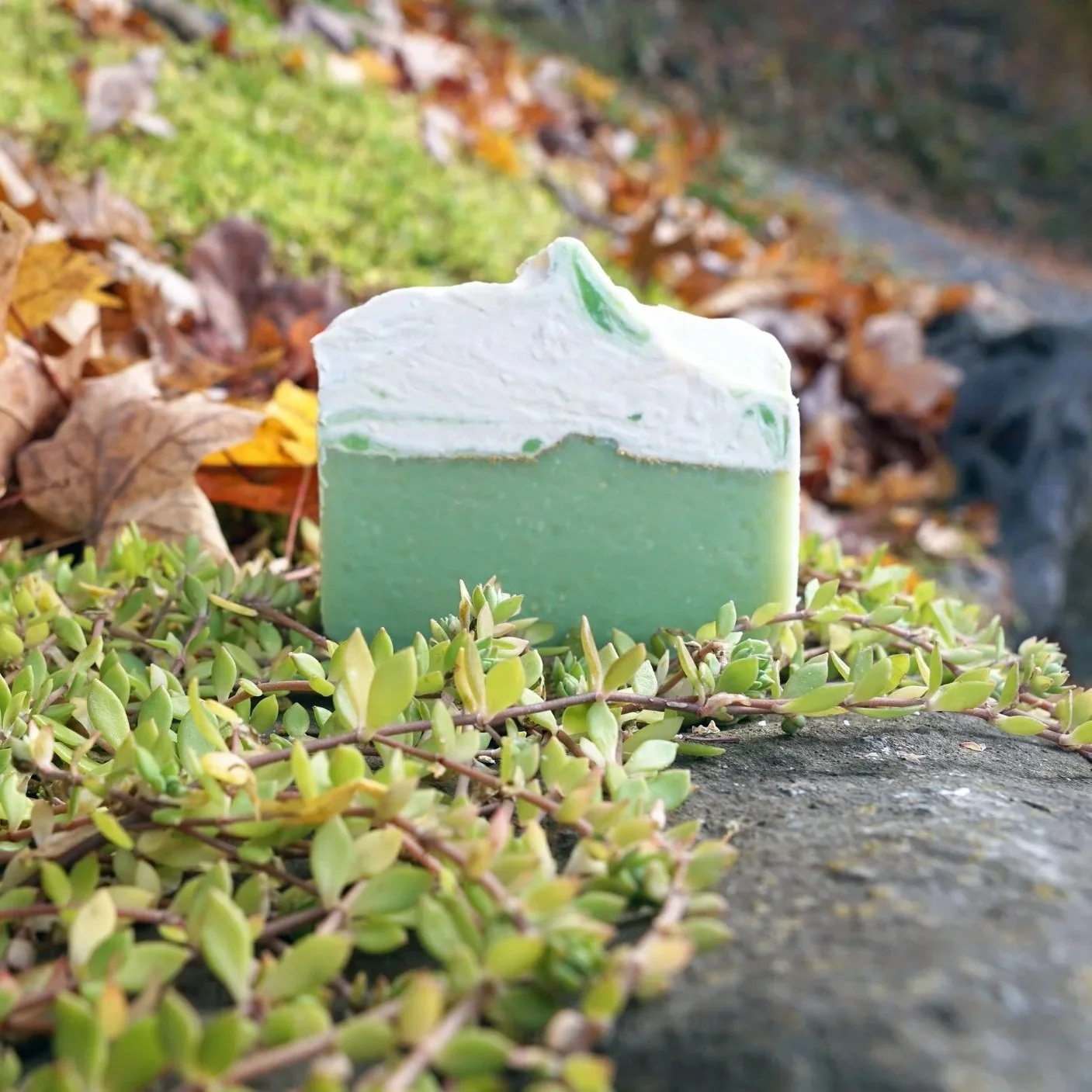 Green Tea Goat's Milk Soap