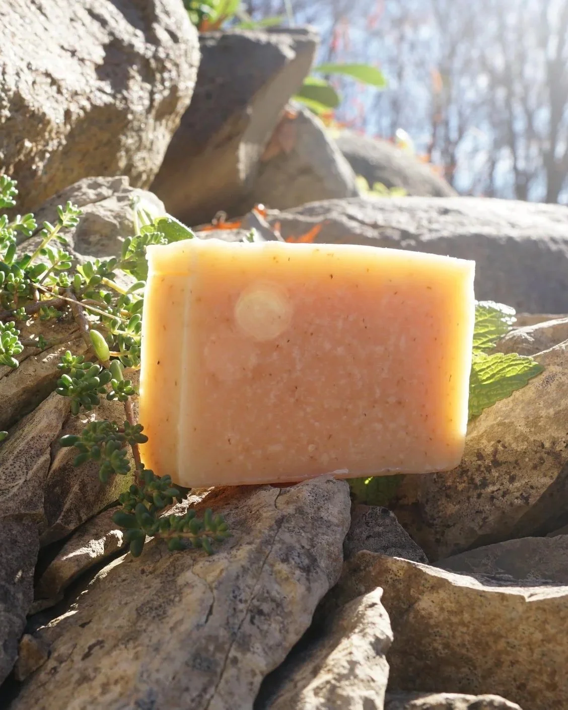 GardenChamomileSoap.jpg