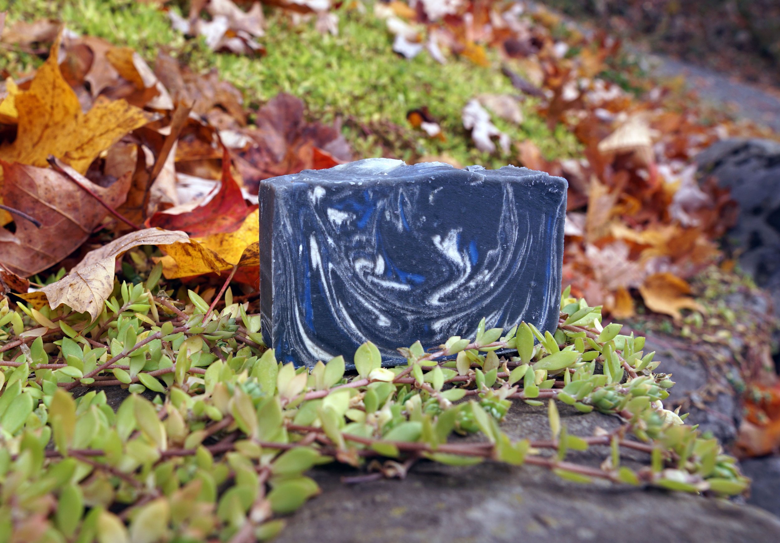 BambooActivatedCharcoal2.jpg