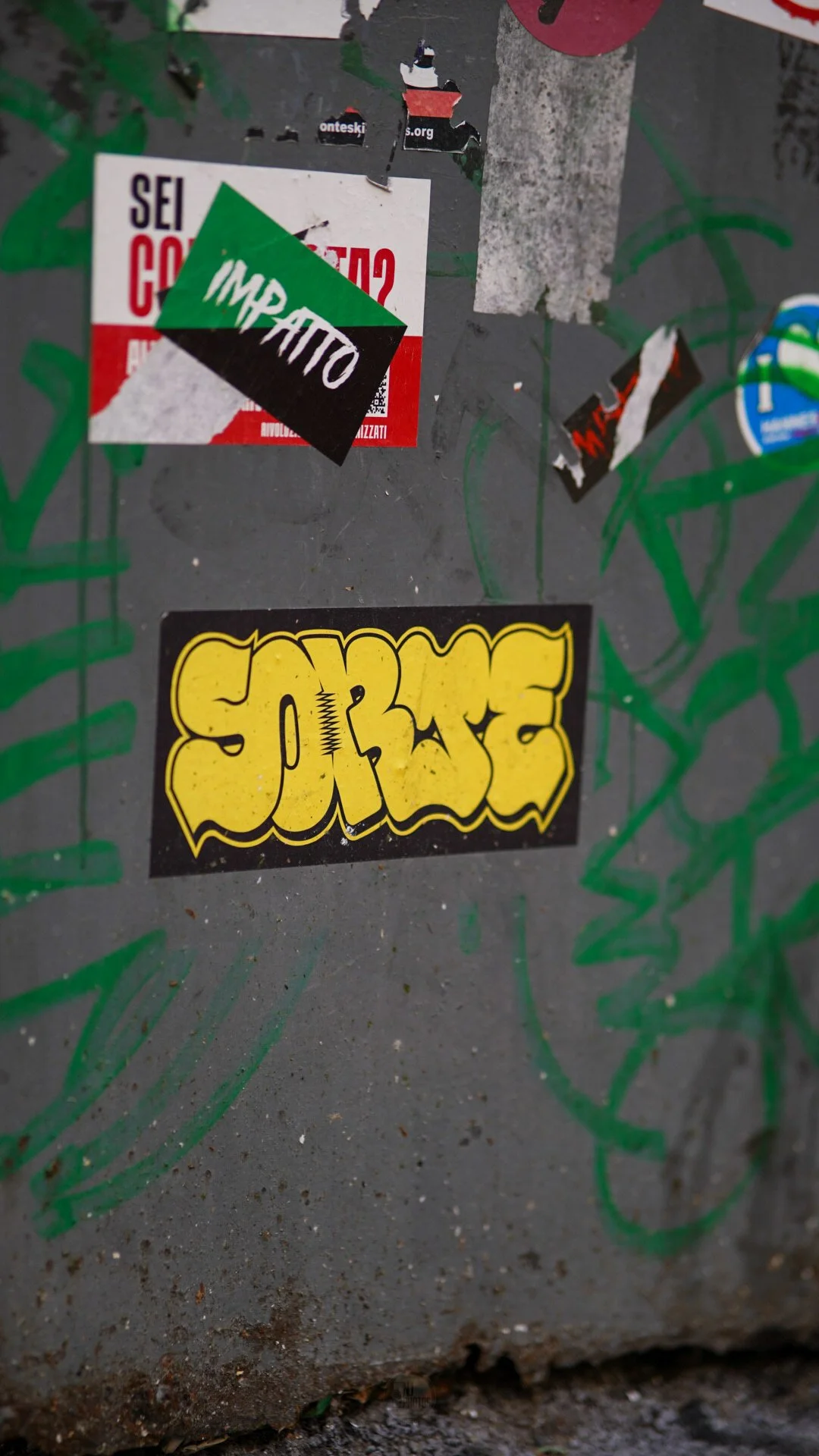 DSC07520.jpg
