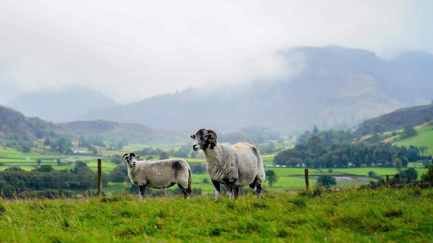 Castle Rig stone circle and the surrounding fells. 

The stone circle has been theorised to have been built around a burial site, if you stand in this spot and look out to the fells the stones will match up with the skyline!
&mdash;
#stonecircle #she