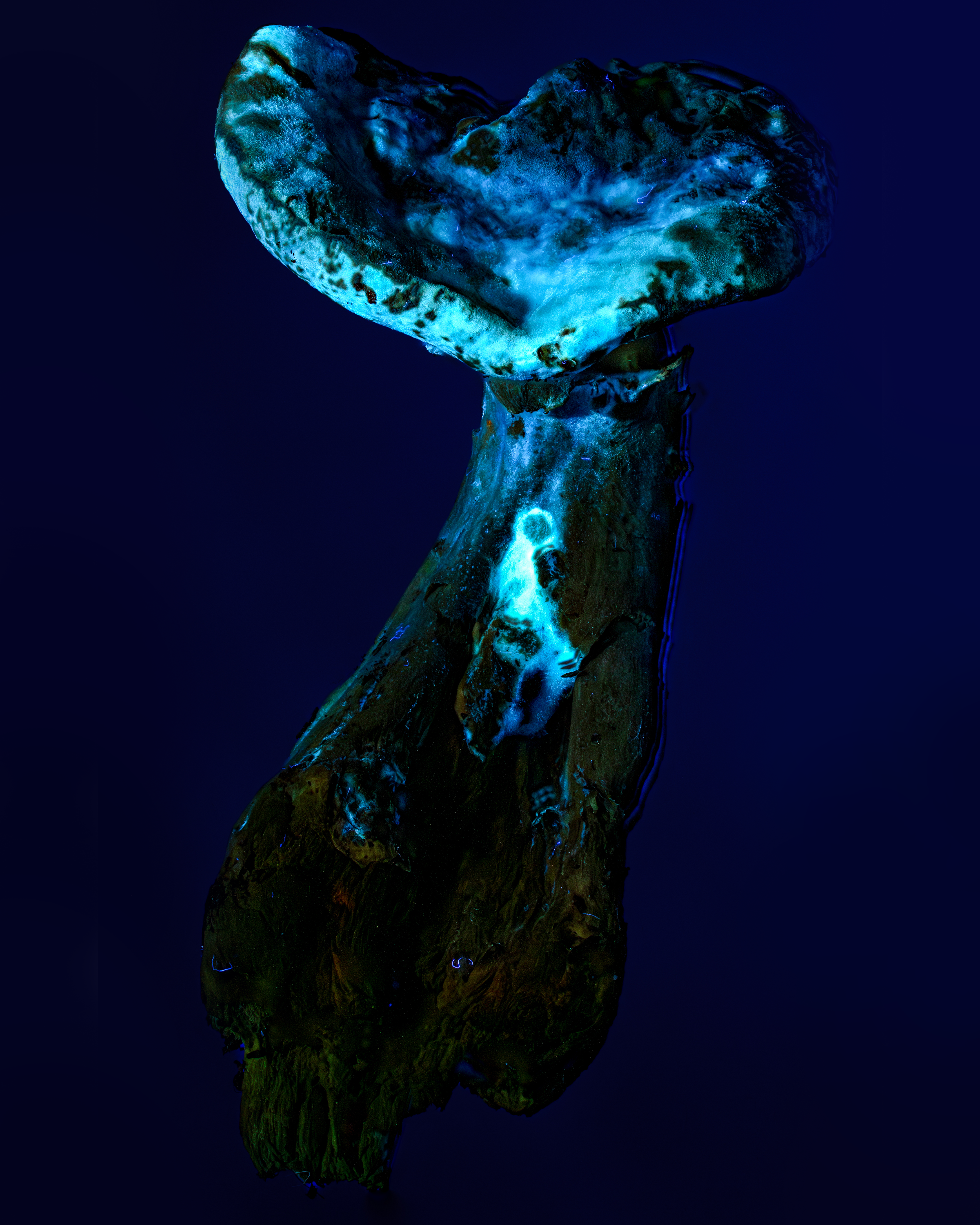 Close-up of a glowing ice sculpture with blue and green hues against a dark background.