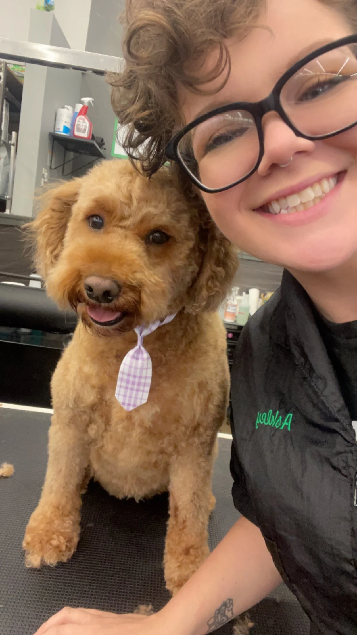 A smiling woman with curly hair and glasses takes a selfie with a fluffy brown dog with a checkered bandana in a pet grooming salon.