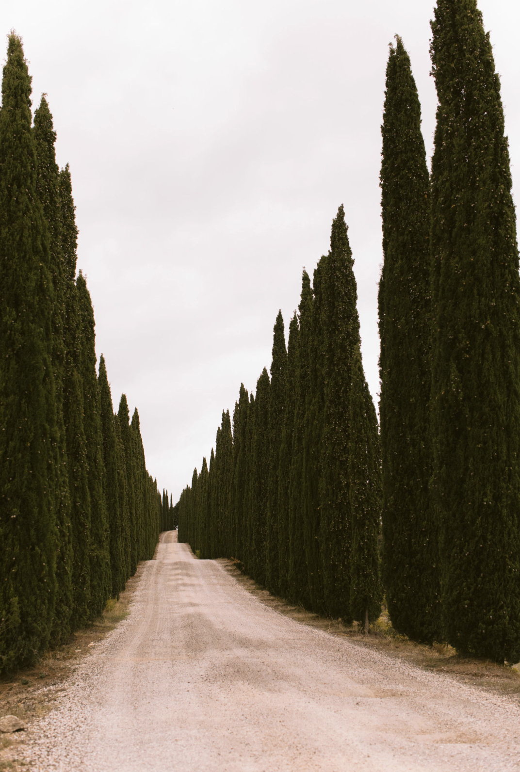 Montalcino, Italy