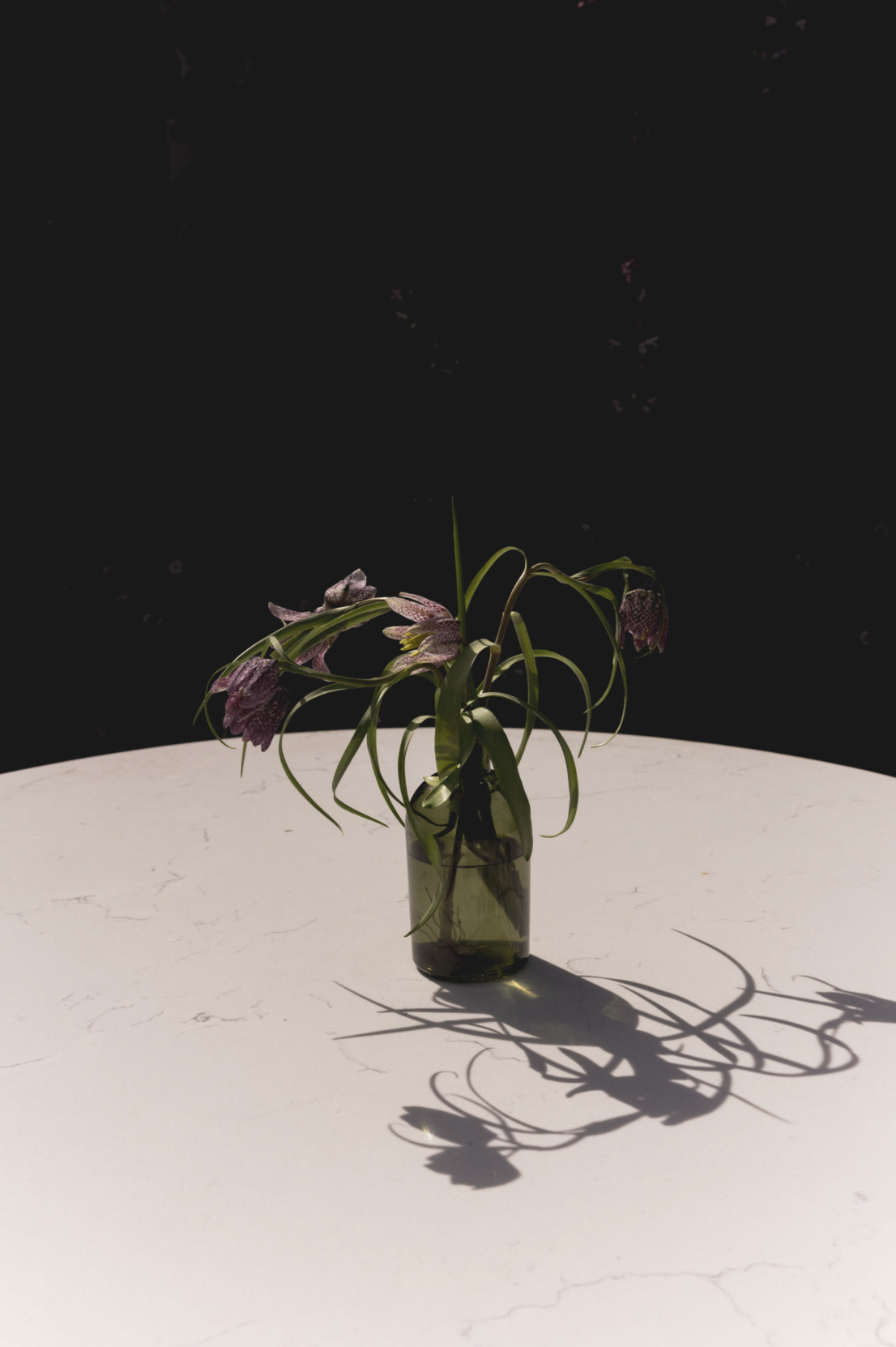 Screenshot 2026-04-15 at 11.25.14 AM.png