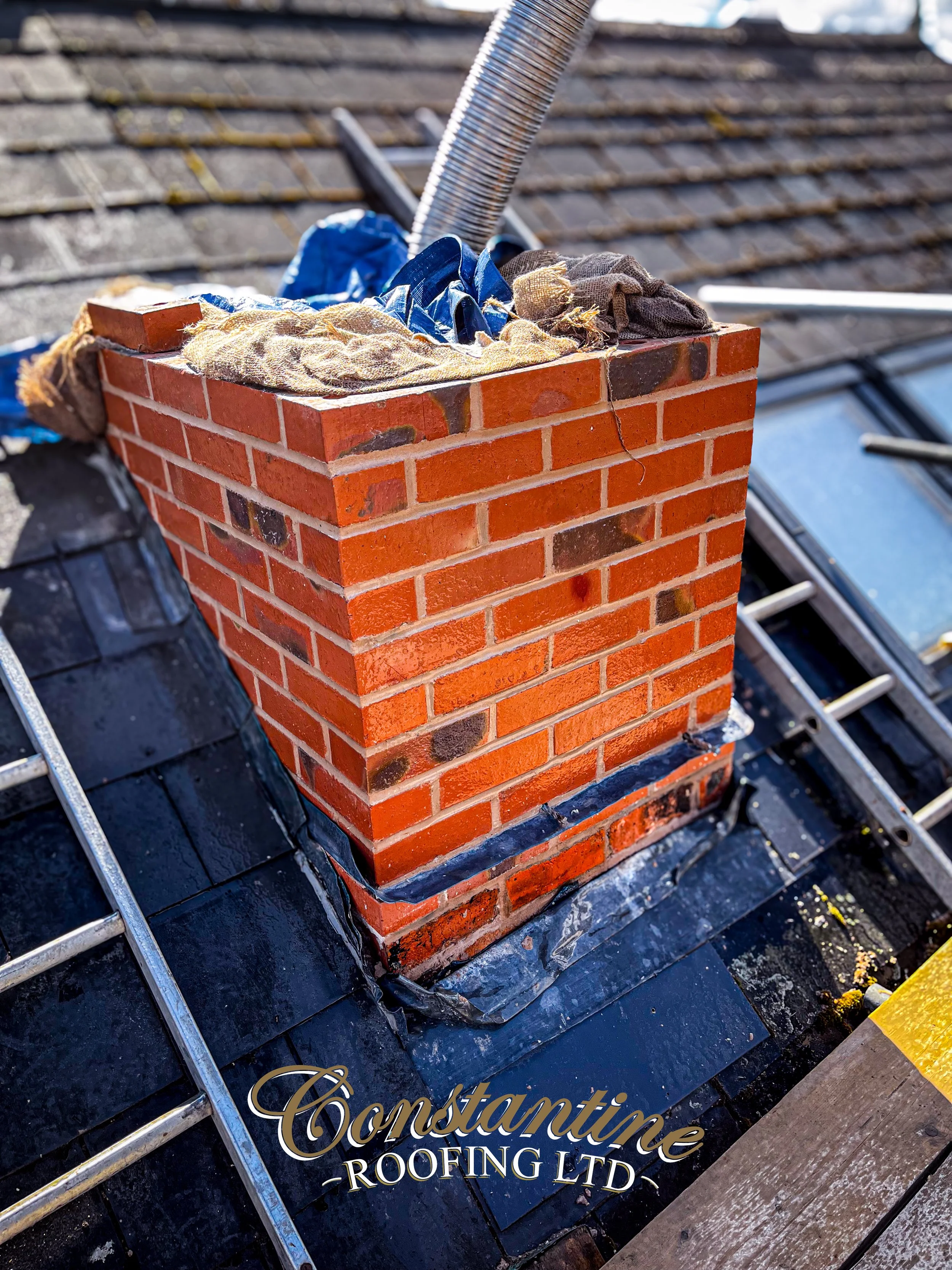 IMG_0298.jpg