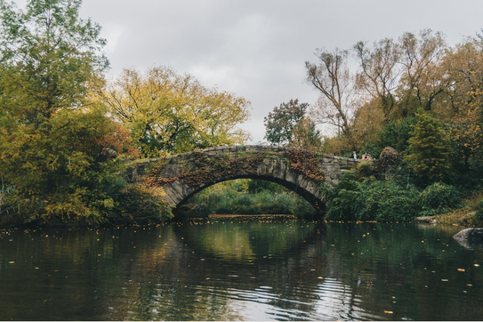 The Bridge